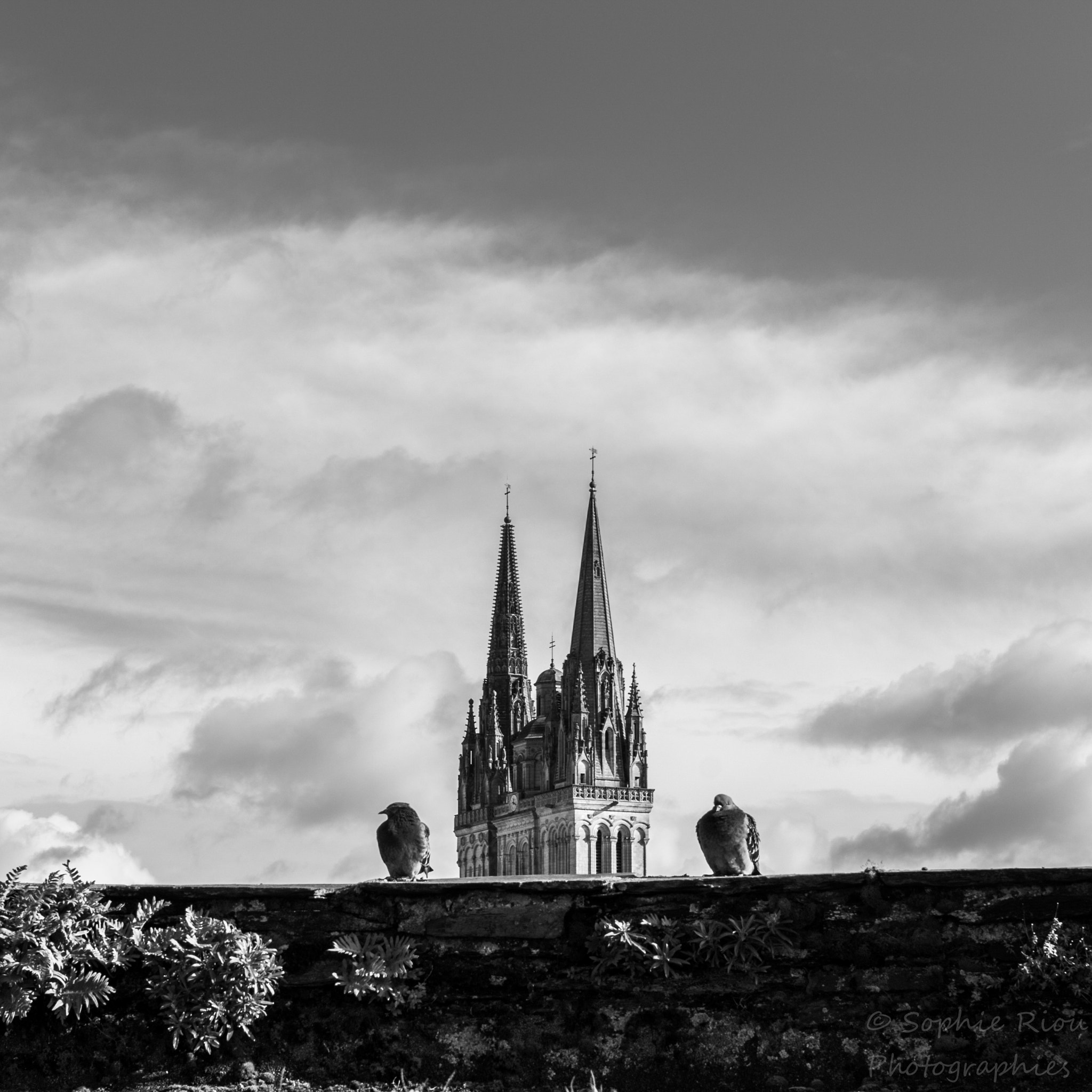 Pentax K-30 sample photo. The church guards photography