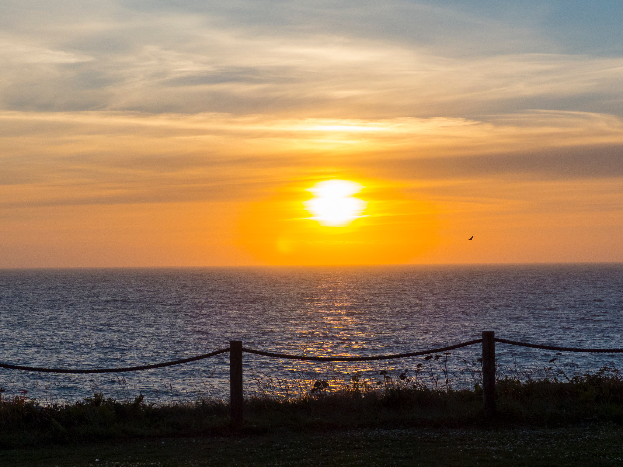 Leica V-Lux 4 sample photo. Oregon coast sunset photography