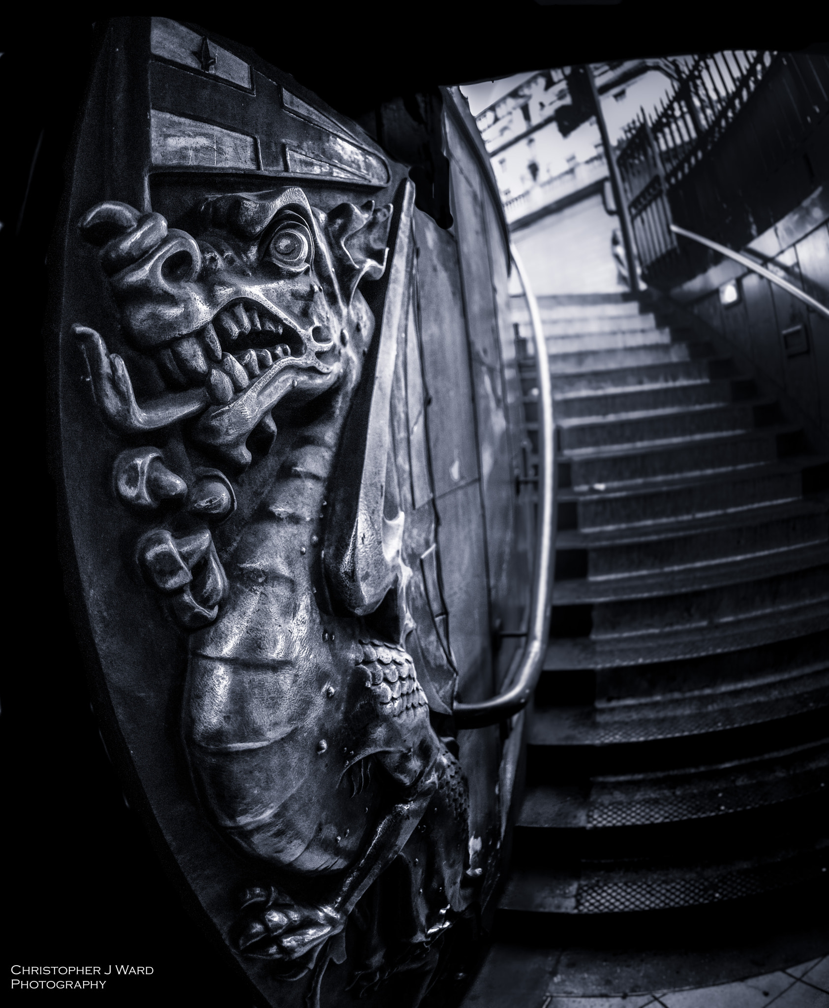 Nikon D800 + Nikon AF Fisheye-Nikkor 16mm F2.8D sample photo. Tube film noir griffin photography
