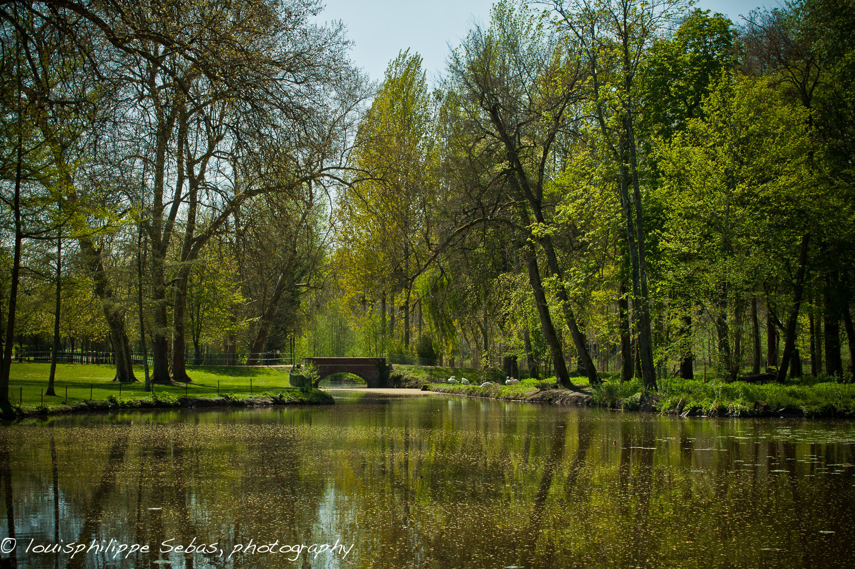 Sigma 50mm F1.4 EX DG HSM sample photo. Louisphilippesebas photography
