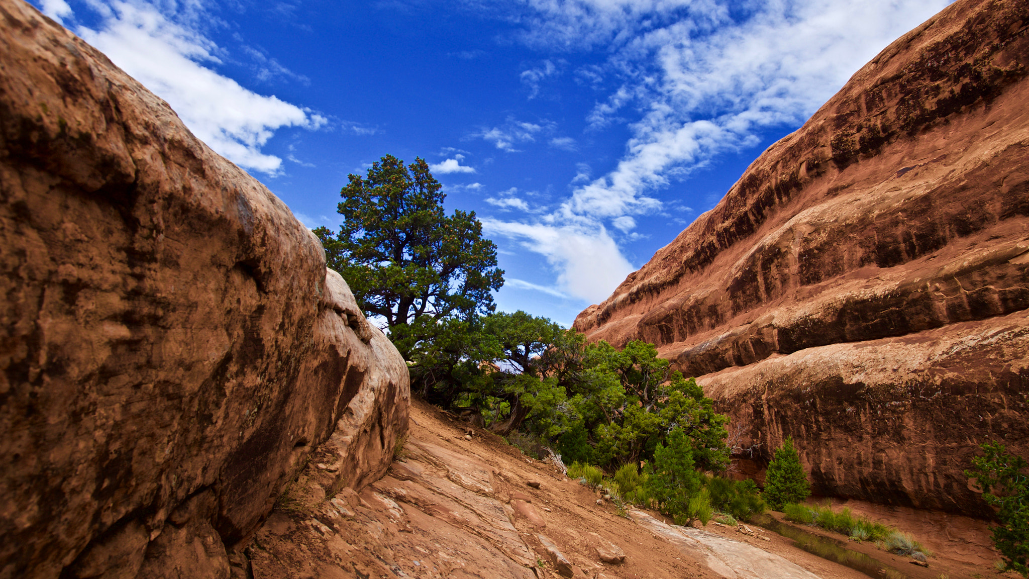 Canon EF 16-35mm F2.8L USM sample photo. Canyons and pines photography