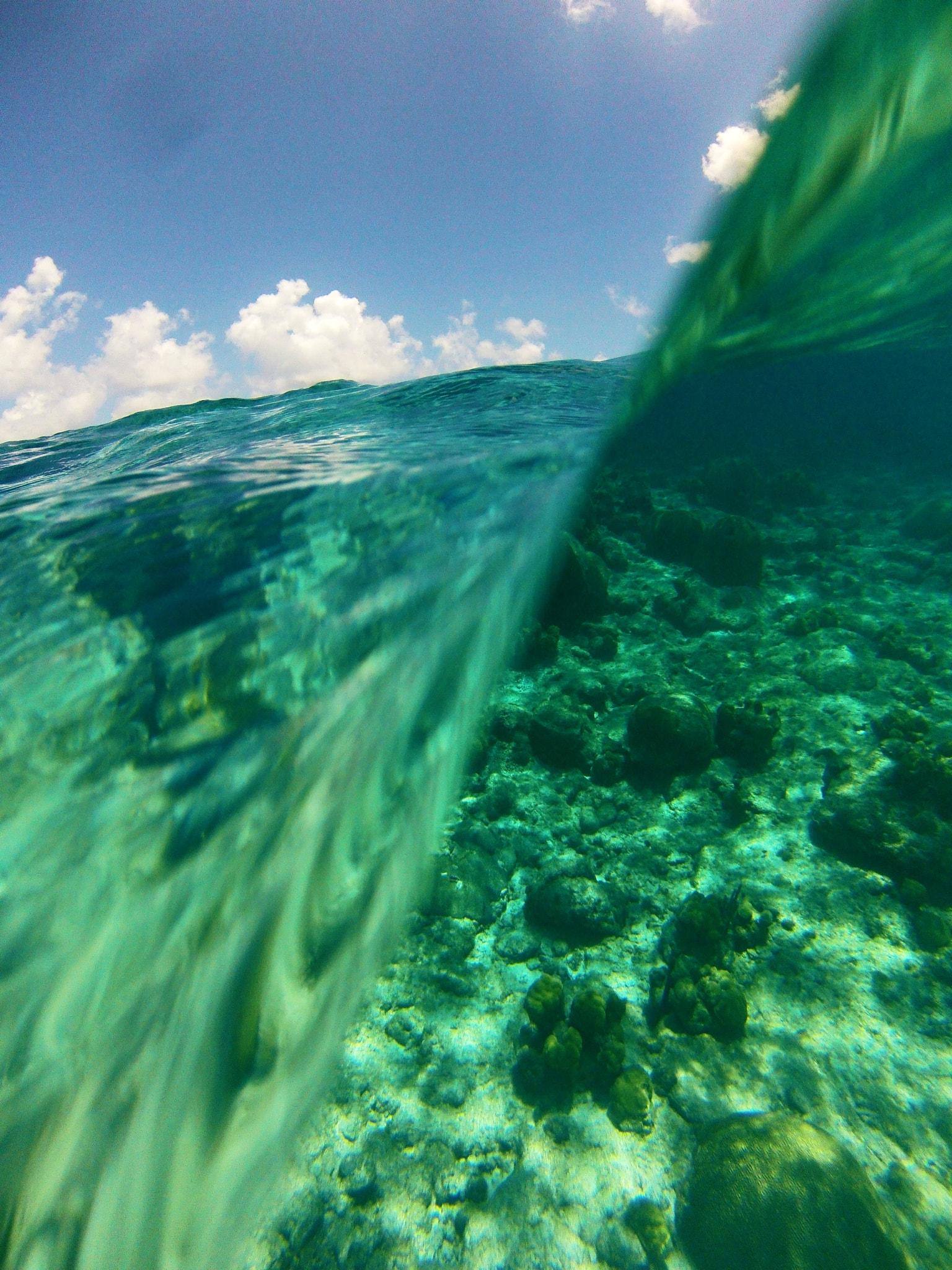 GoPro Hero3-Silver Edition sample photo. Do not wait for your ship to come in... swim out to it! photography
