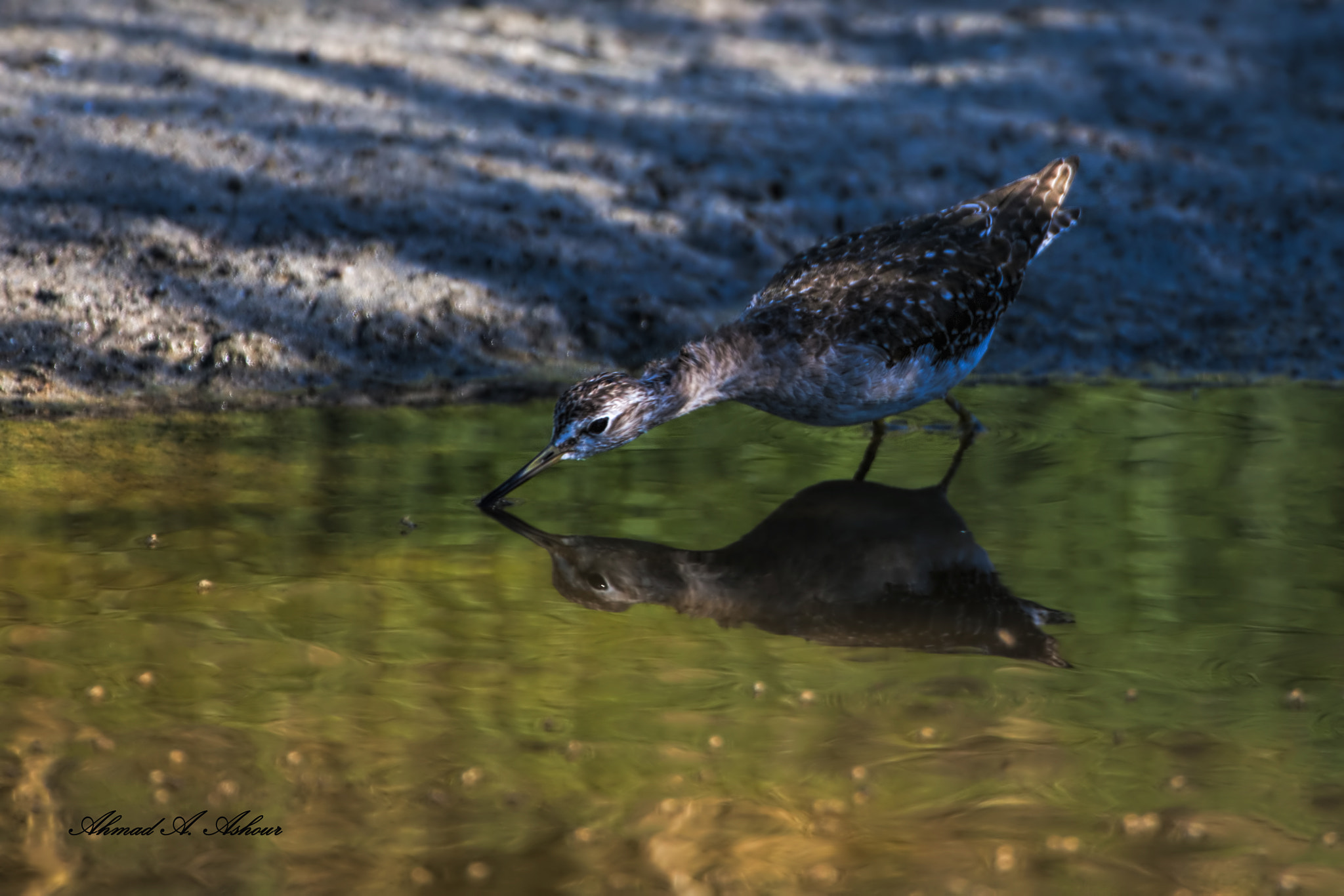 Nikon D3X sample photo. Clearness.  photography