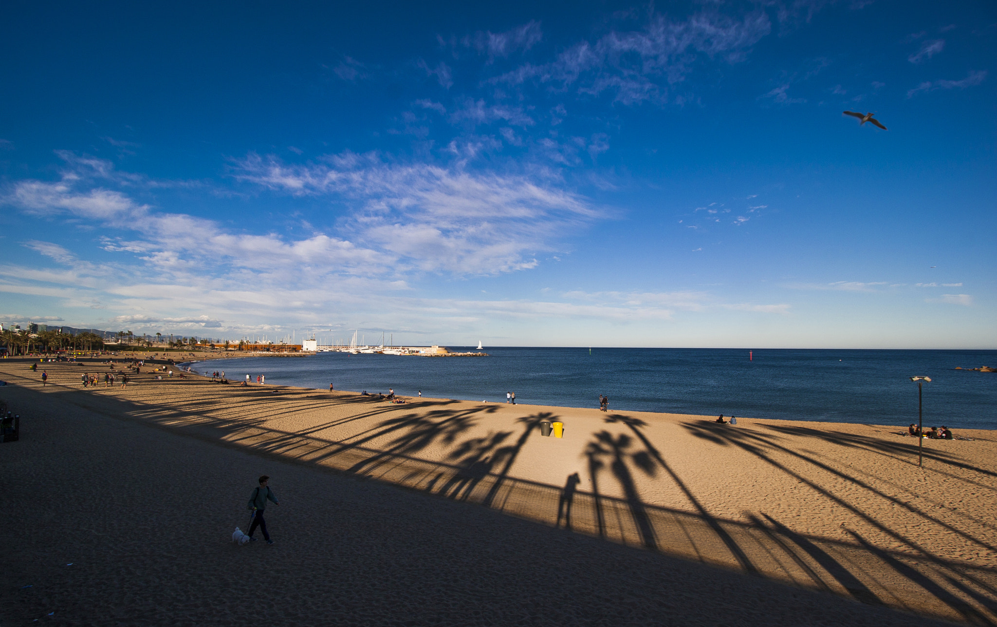 Canon EF-S 10-18mm F4.5–5.6 IS STM sample photo. Marina photography