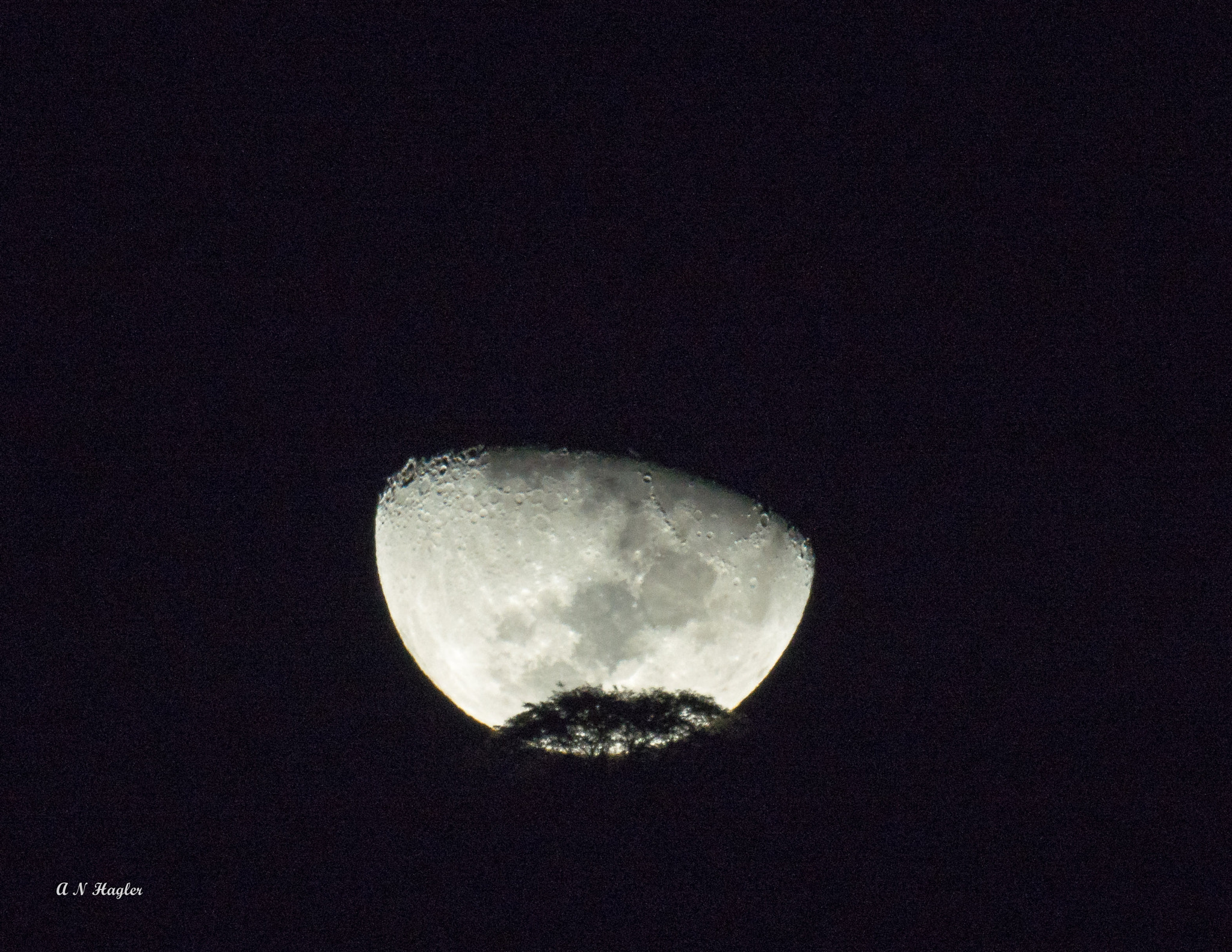 Sony SLT-A77 + Sony 500mm F8 Reflex sample photo. April half moon-set photography