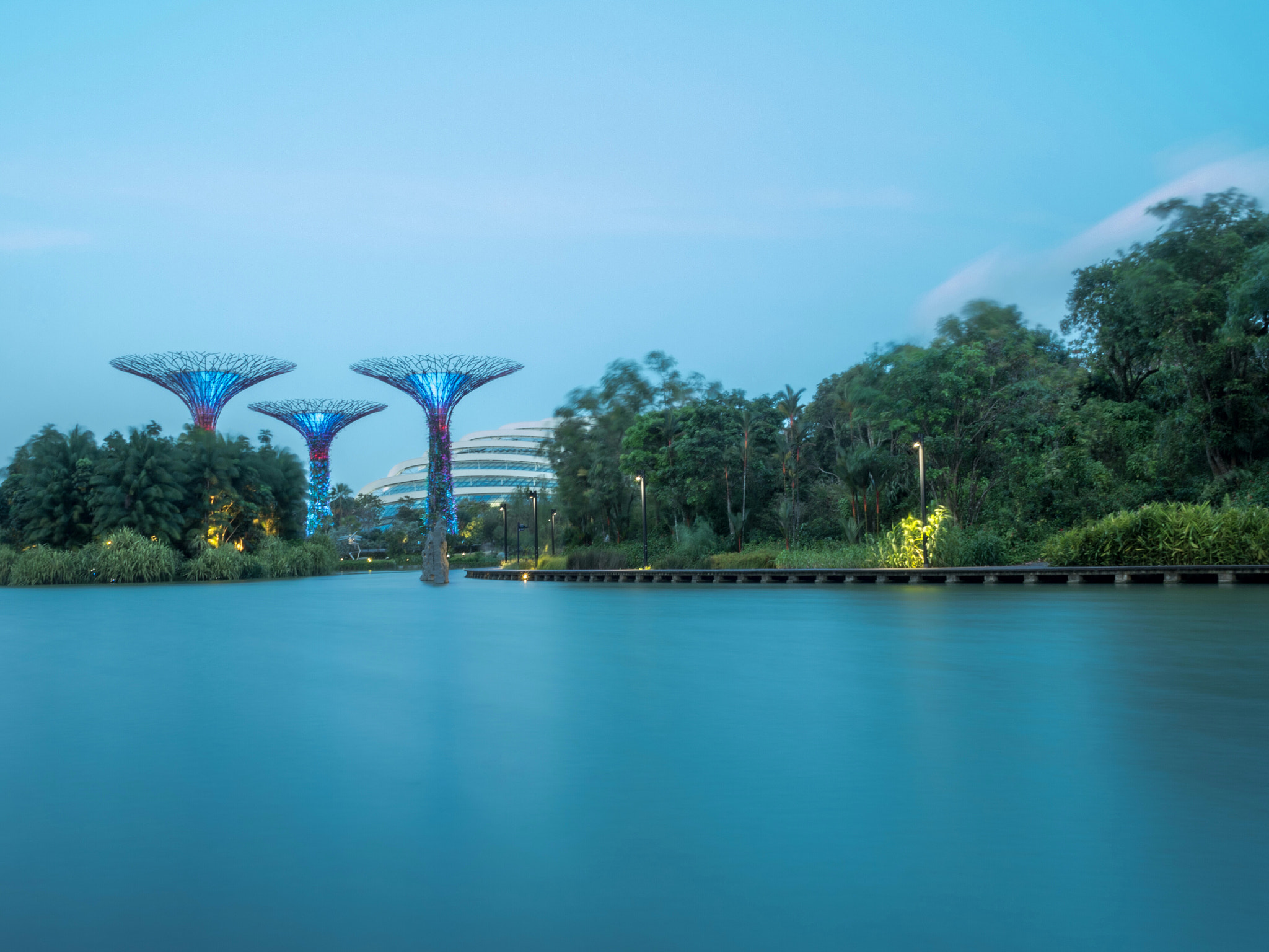Olympus OM-D E-M5 II + Olympus M.Zuiko Digital 17mm F1.8 sample photo. Garden by the bay photography