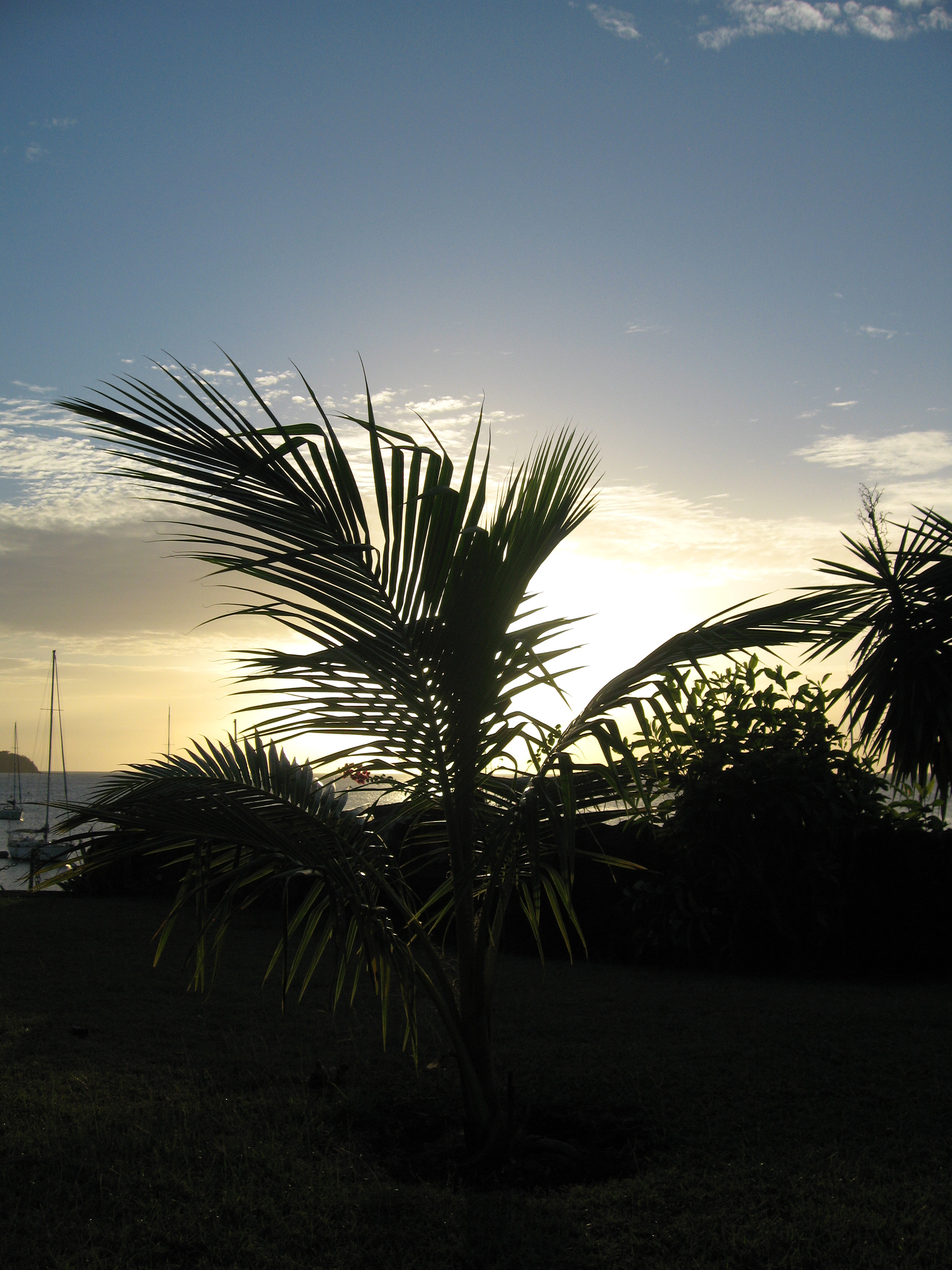 Canon DIGITAL IXUS 900TI sample photo. Martinique les trois ilets "la pointe du bout" photography