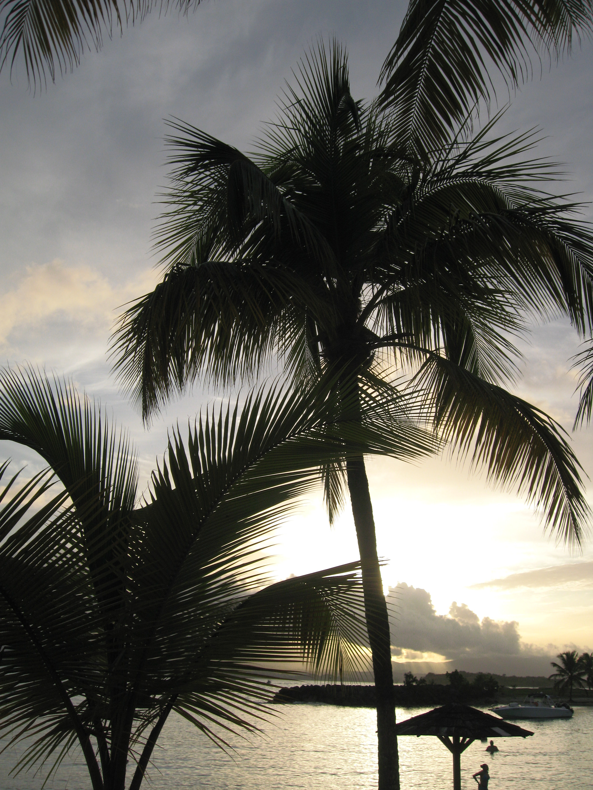 Canon DIGITAL IXUS 900TI sample photo. Guadeloupe bas du fort photography