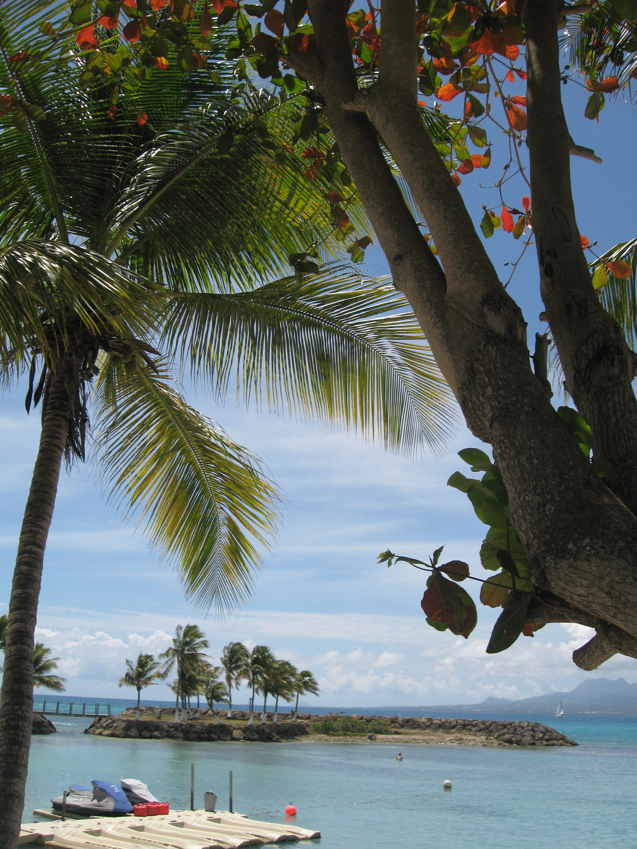 Canon DIGITAL IXUS 900TI sample photo. Guadeloupe bas du fort photography