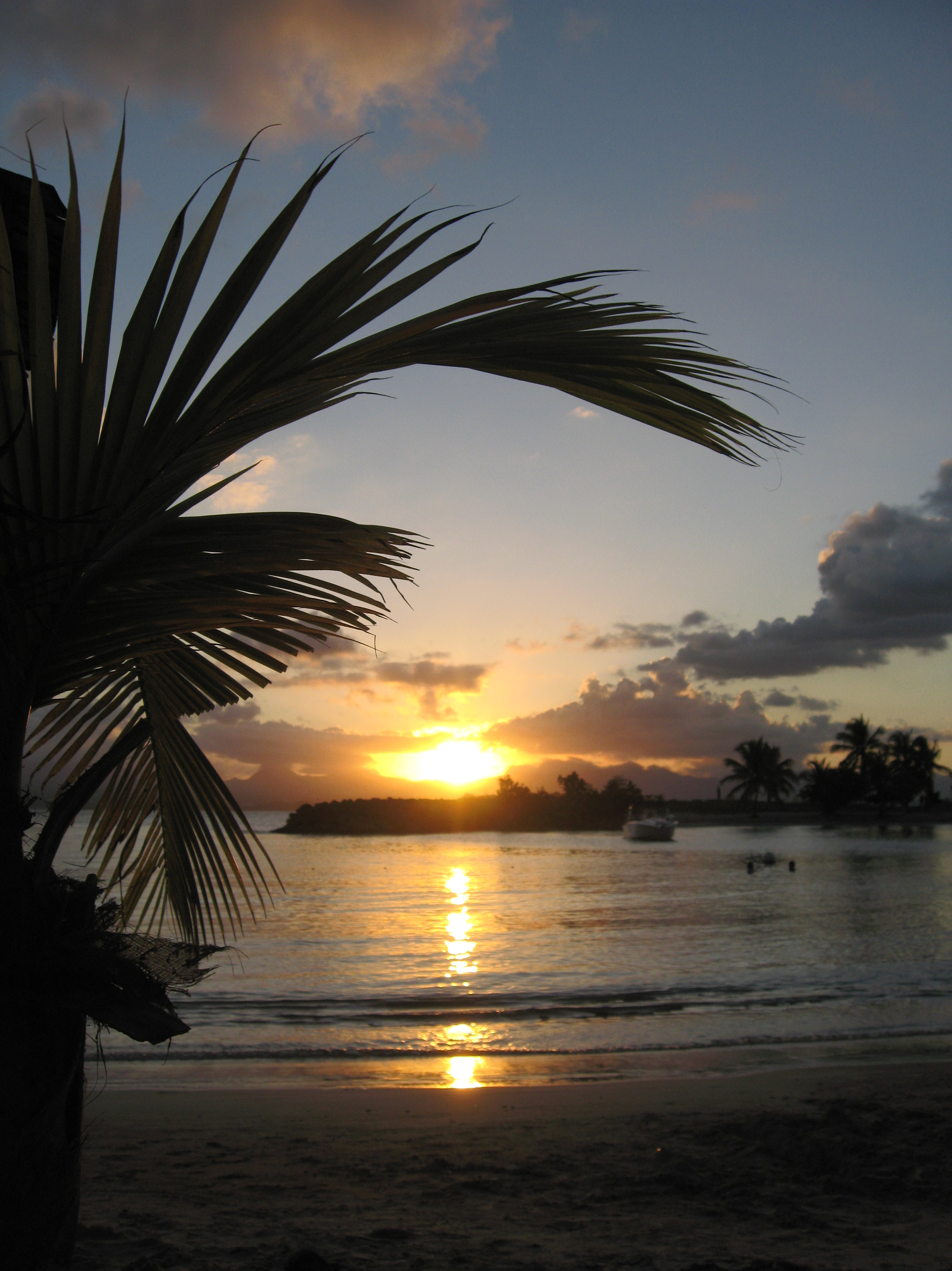 Canon DIGITAL IXUS 900TI sample photo. Guadeloupe bas du fort photography