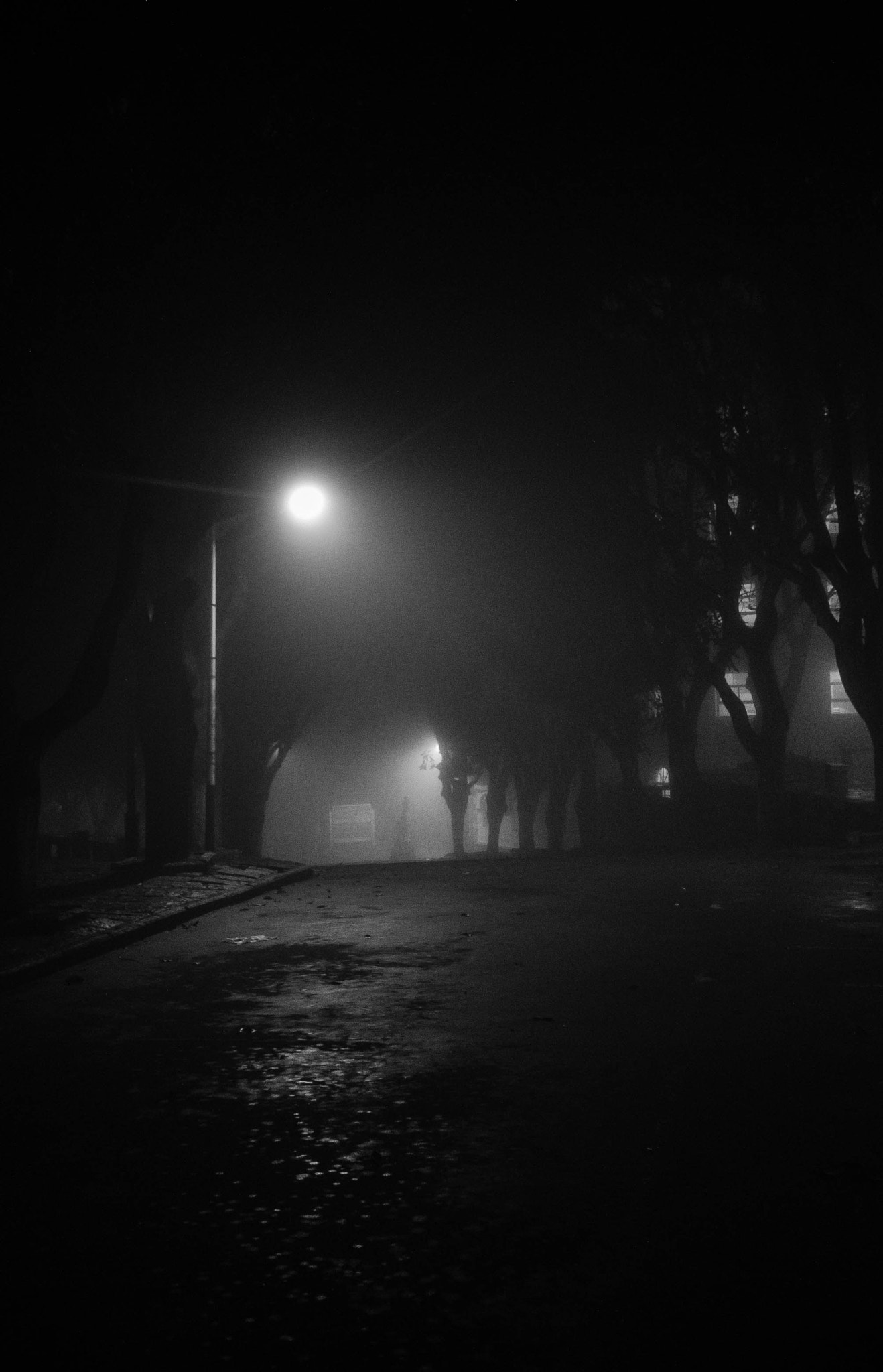 OnePlus One A0001 sample photo. Mist of xiamen 03 photography