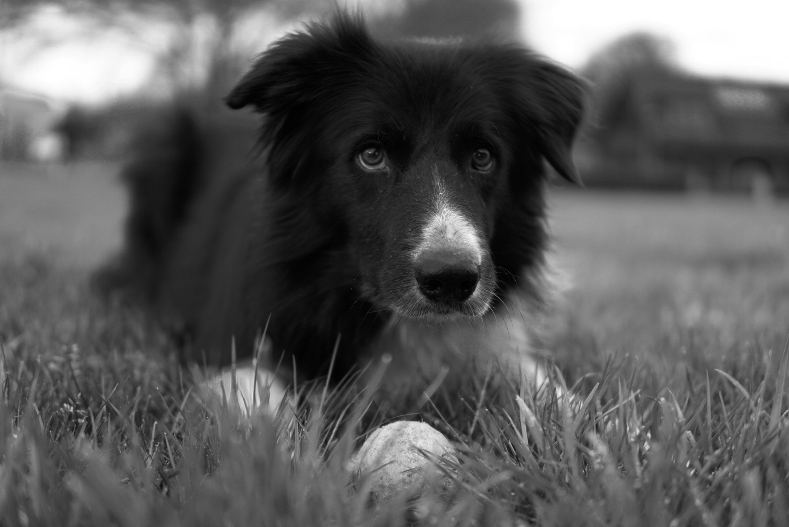 Sony a6000 + E 30mm F1.4 sample photo. Play with me! please... photography