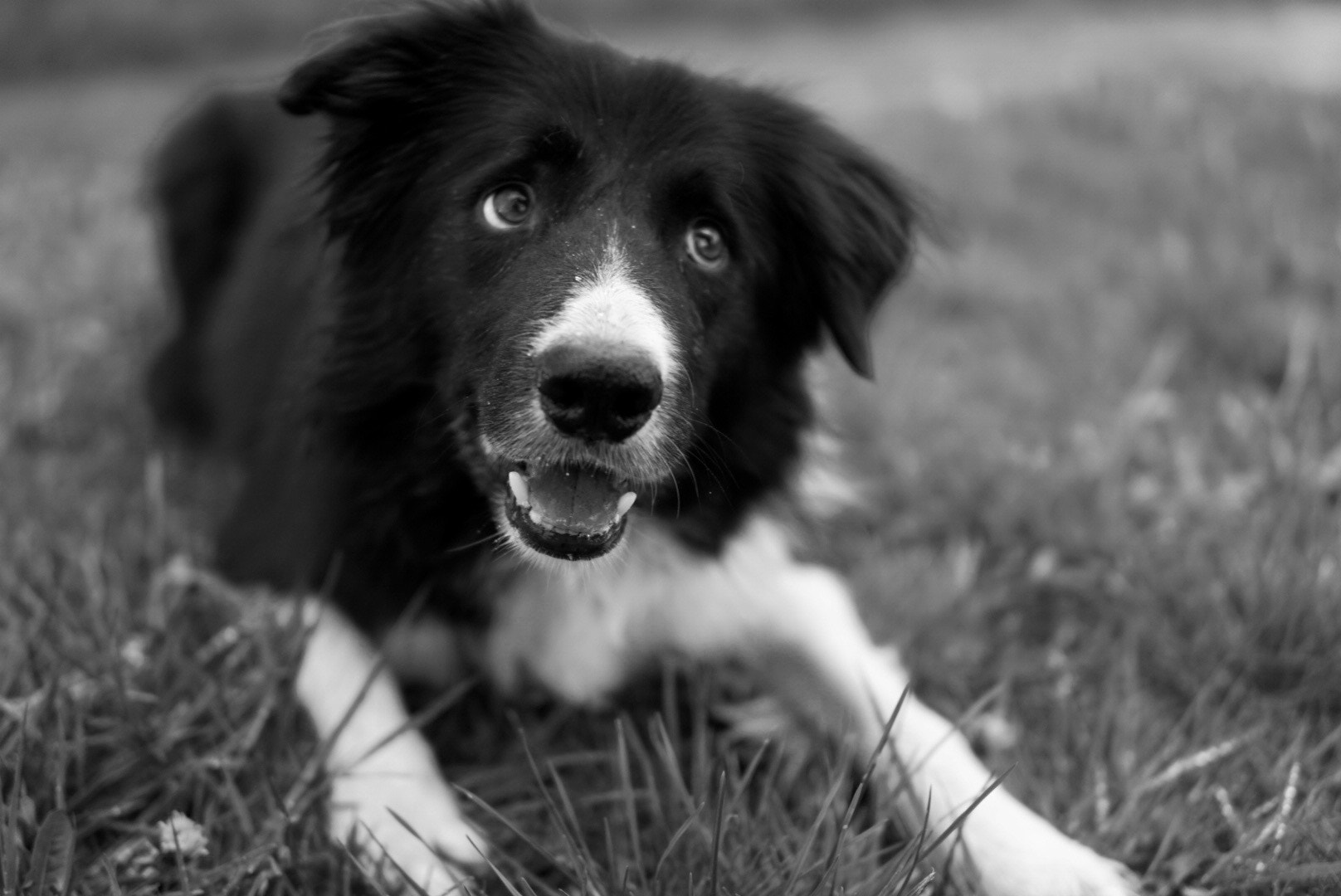 Sony a6000 + E 30mm F1.4 sample photo. Look me being cute! photography