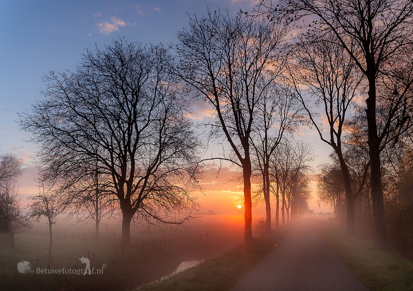 Sigma 24-105mm f/4 DG OS HSM | A sample photo. It's looks like a fairytale..... photography