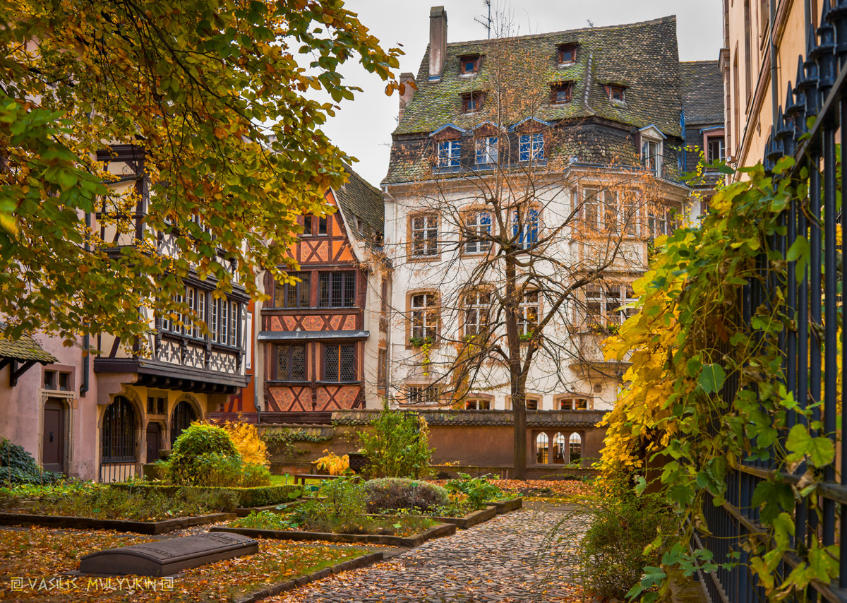 Sony Alpha DSLR-A900 + 35-70mm F4 sample photo. Strasbourg photography