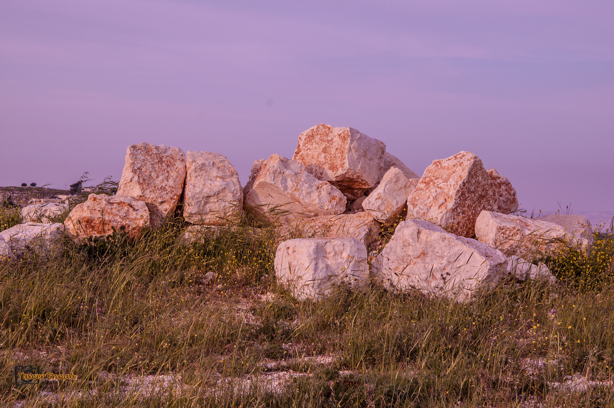 Nikon D70s sample photo. Dsc_1457.jpg photography