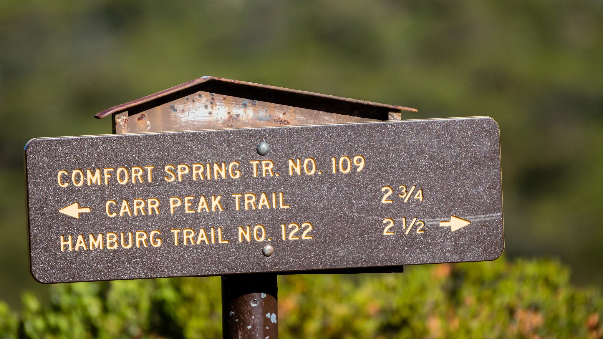 Sigma 50-500mm f/4-6.3 APO HSM EX sample photo. Comfort springs trail sign photography