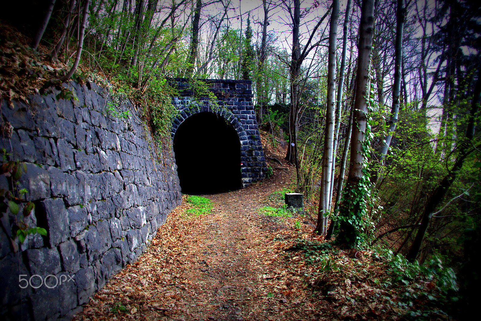 Canon EF-S 17-85mm F4-5.6 IS USM sample photo. Fuori dal tunnel photography