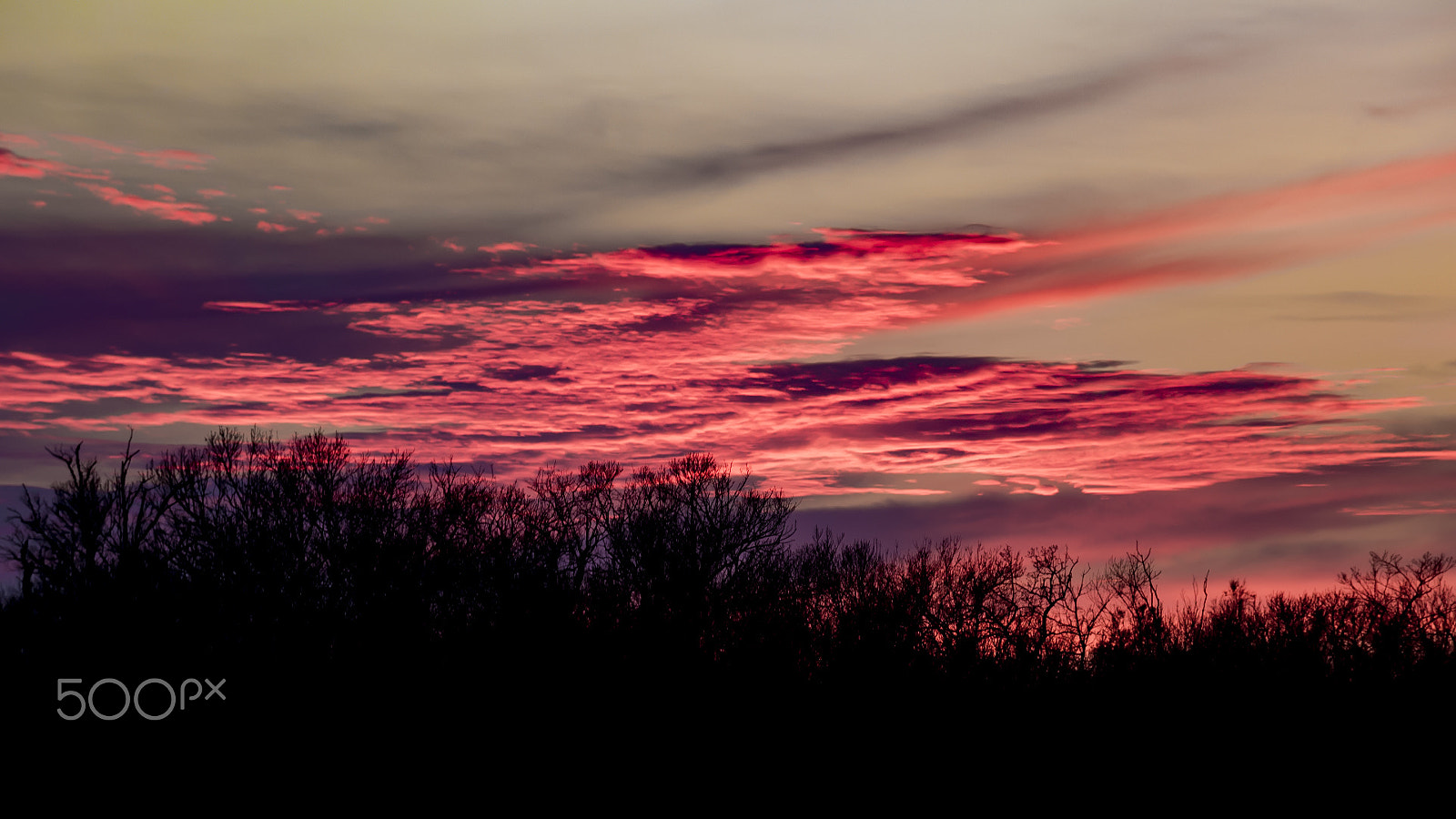 Canon EF-S 18-135mm F3.5-5.6 IS STM sample photo. Ciel de feu en camargue photography
