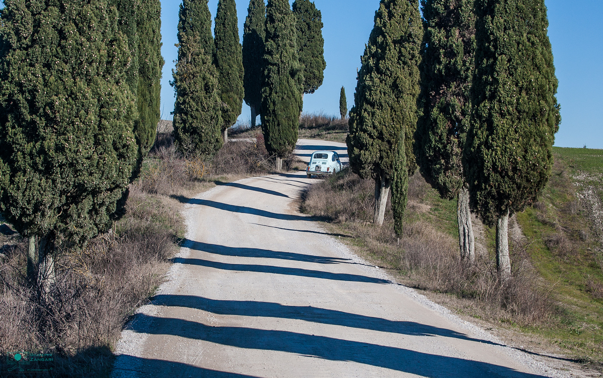 Canon EF 100-400mm F4.5-5.6L IS USM sample photo. Siena photography