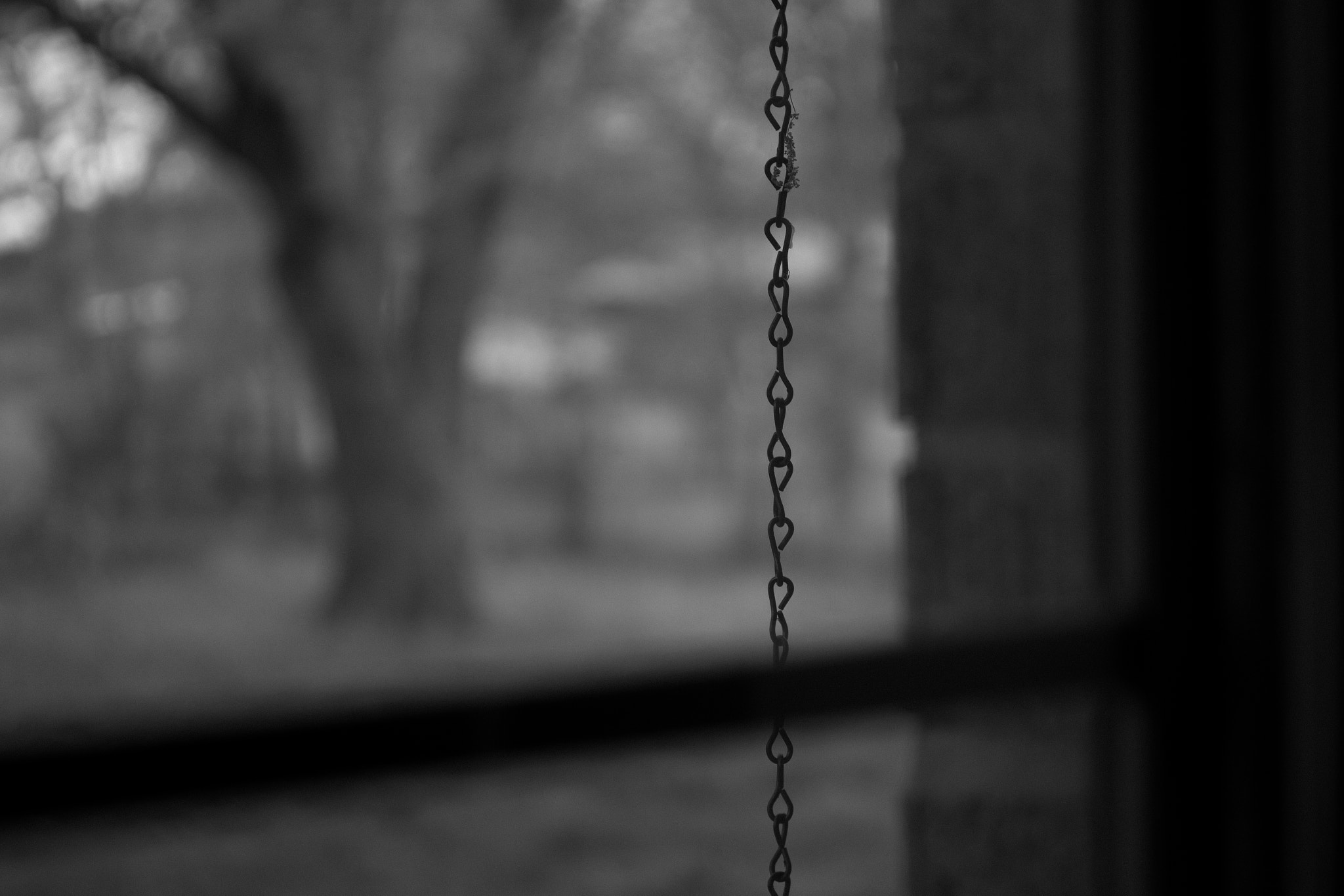 Sony a6300 + Canon EF 24-70mm F4L IS USM sample photo. #nosat2 . window photography