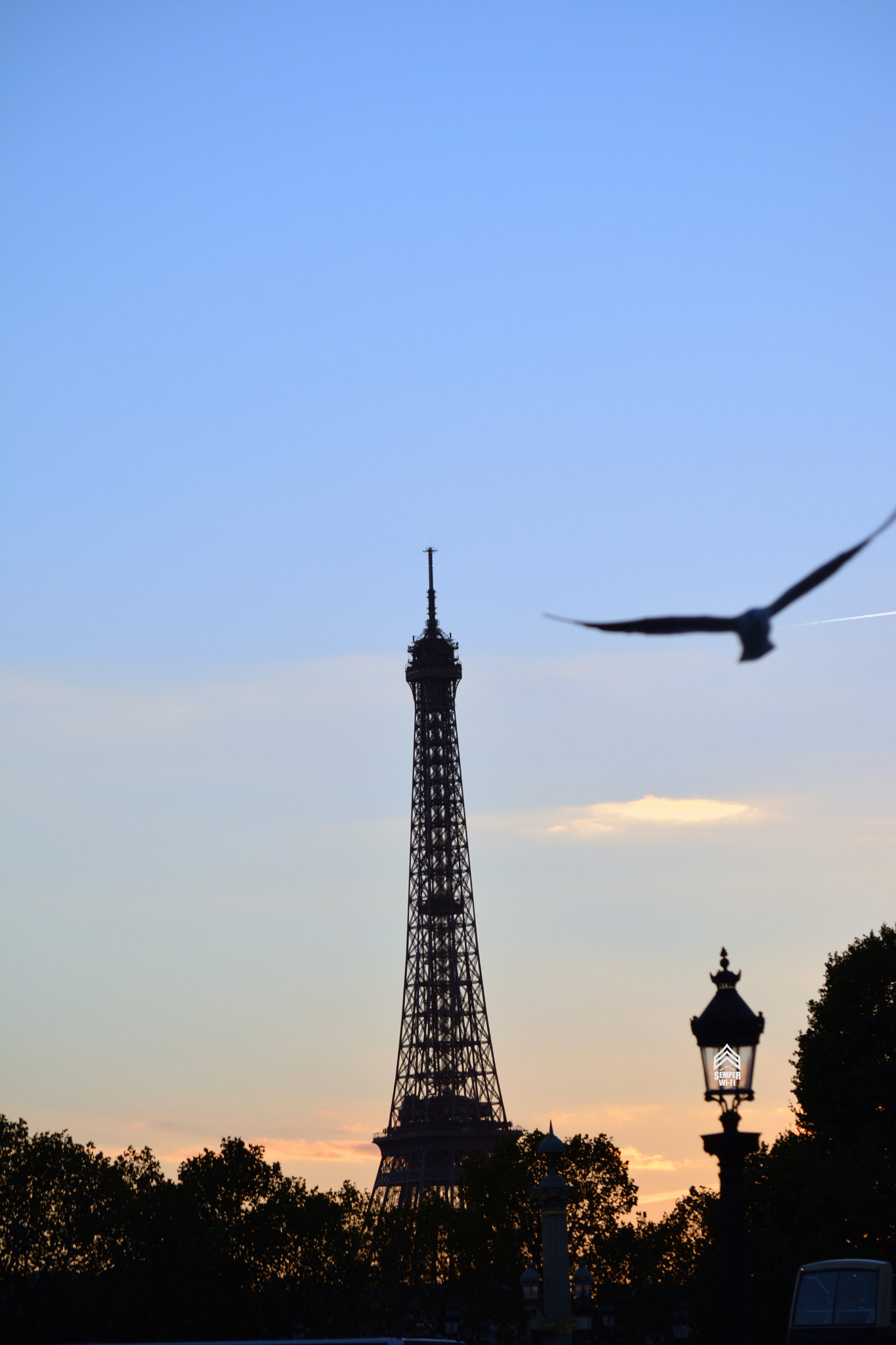 AF Zoom-Nikkor 35-70mm f/2.8D N sample photo. Bird's eye view in paris photography