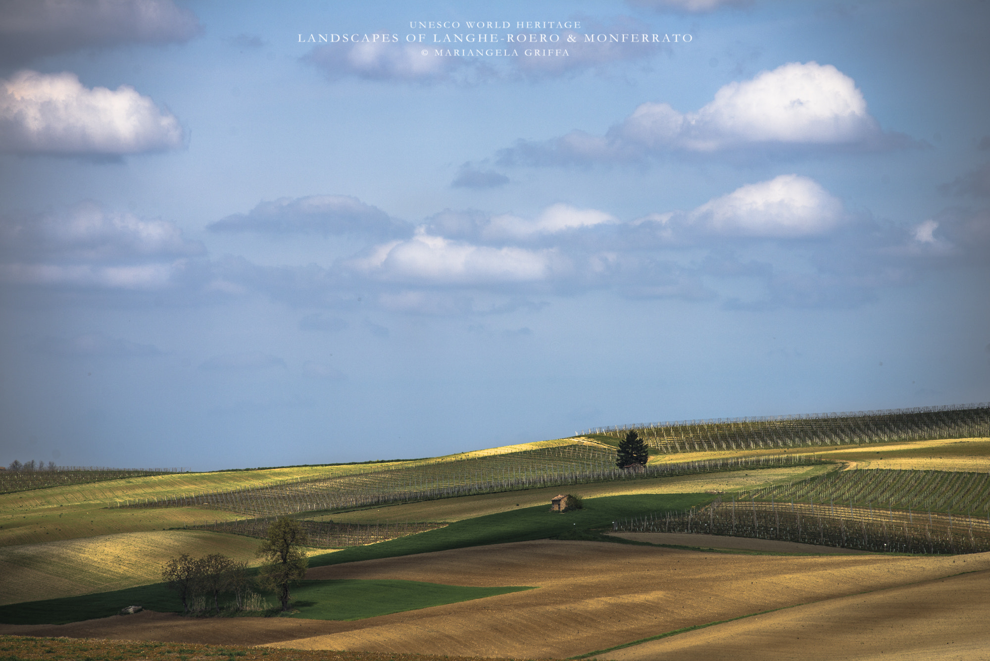 Nikon Nikkor AF-S 300mm F4E PF ED VR sample photo. Monferrato world heritage photography