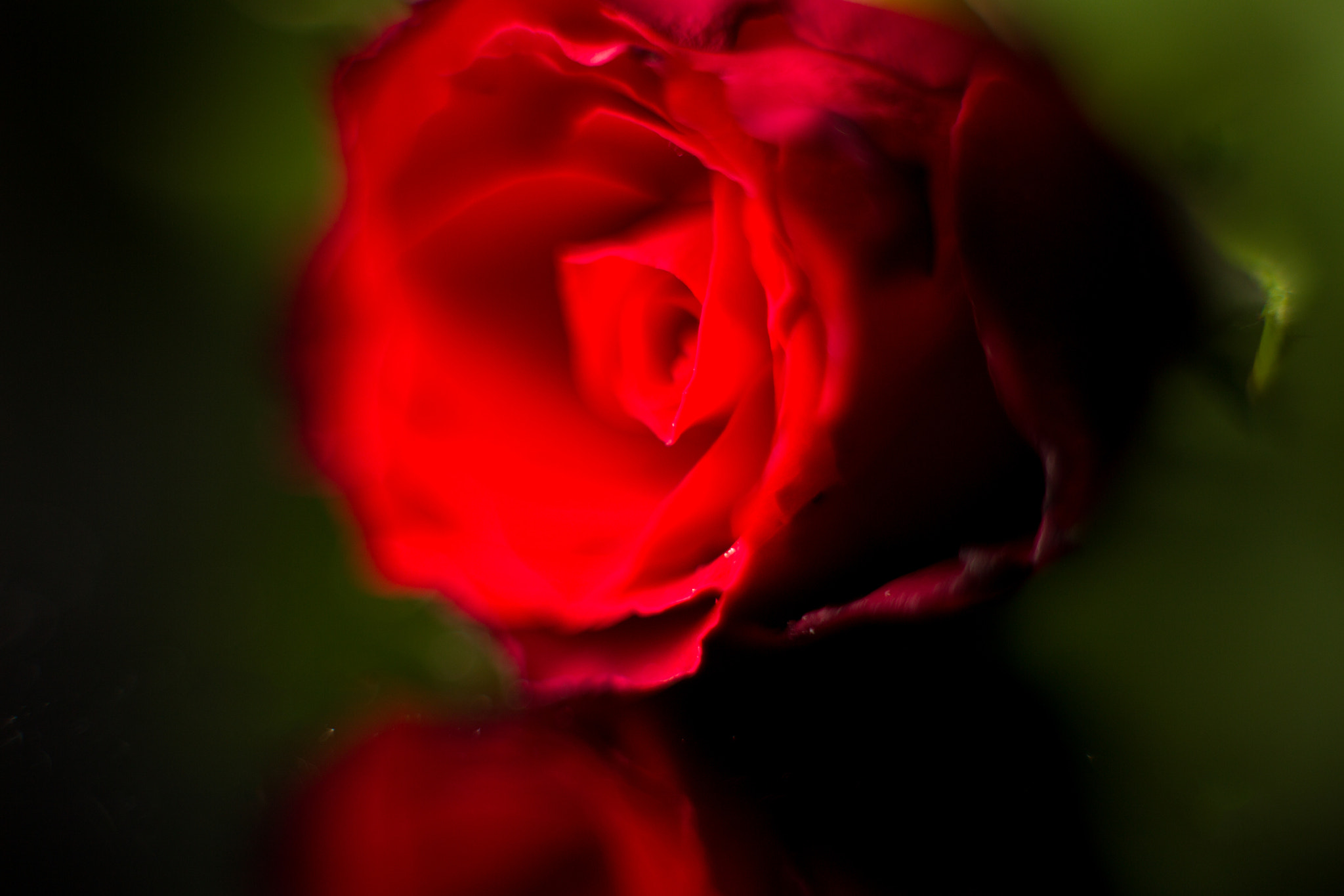 Canon EOS-1D Mark IV sample photo. Bi9c1367.jpg photography