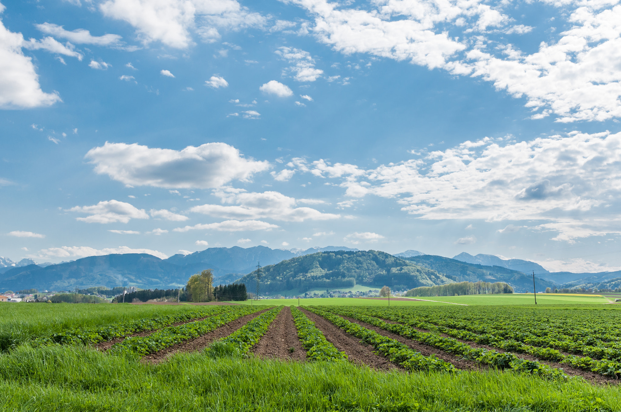 Nikon D90 + Sigma 17-70mm F2.8-4 DC Macro OS HSM | C sample photo. Wolken über dem feld photography