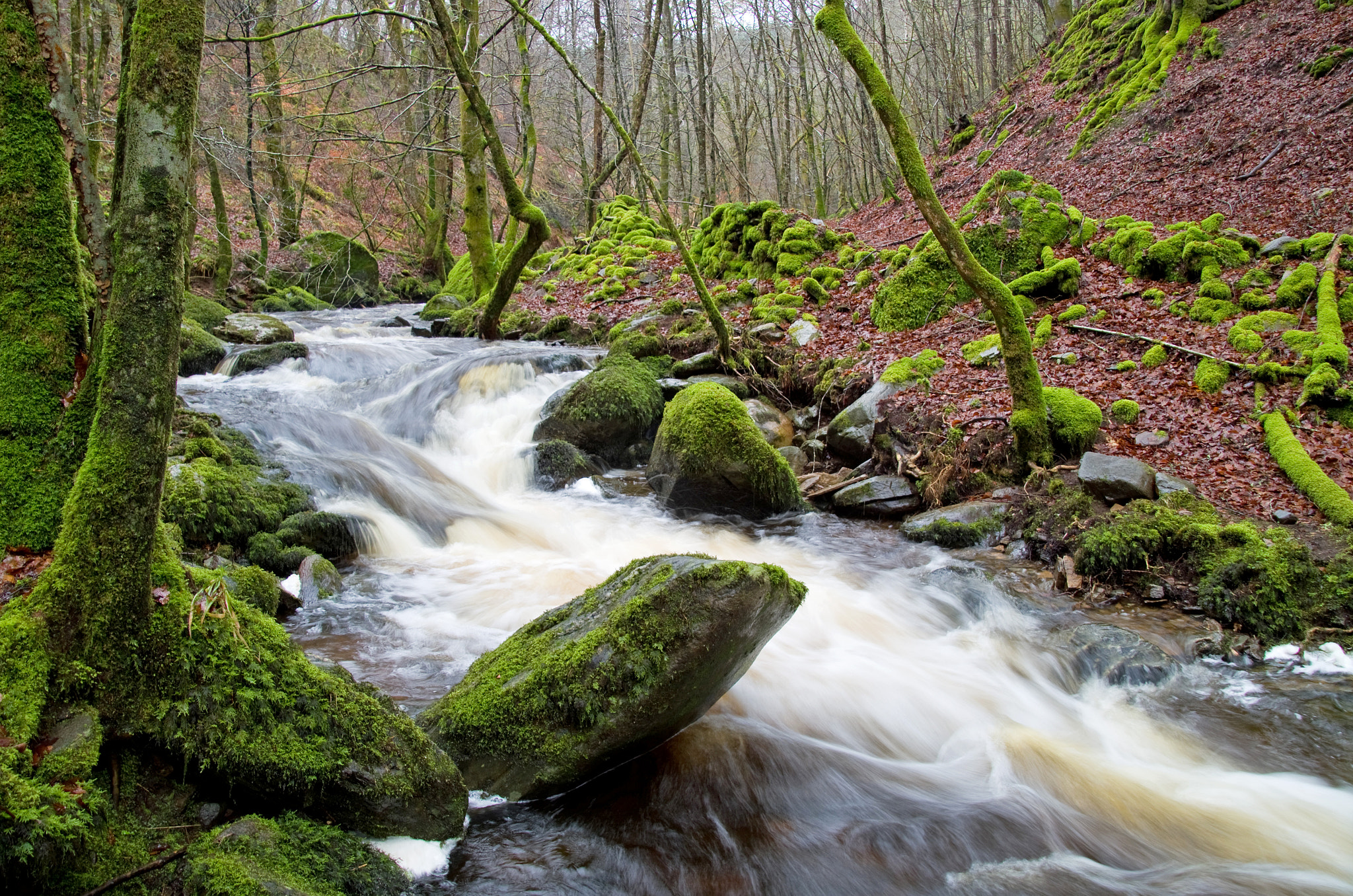 Pentax K-50 + Pentax smc DA 18-270mm F3.5-6.3 ED SDM sample photo. Birnam glen photography