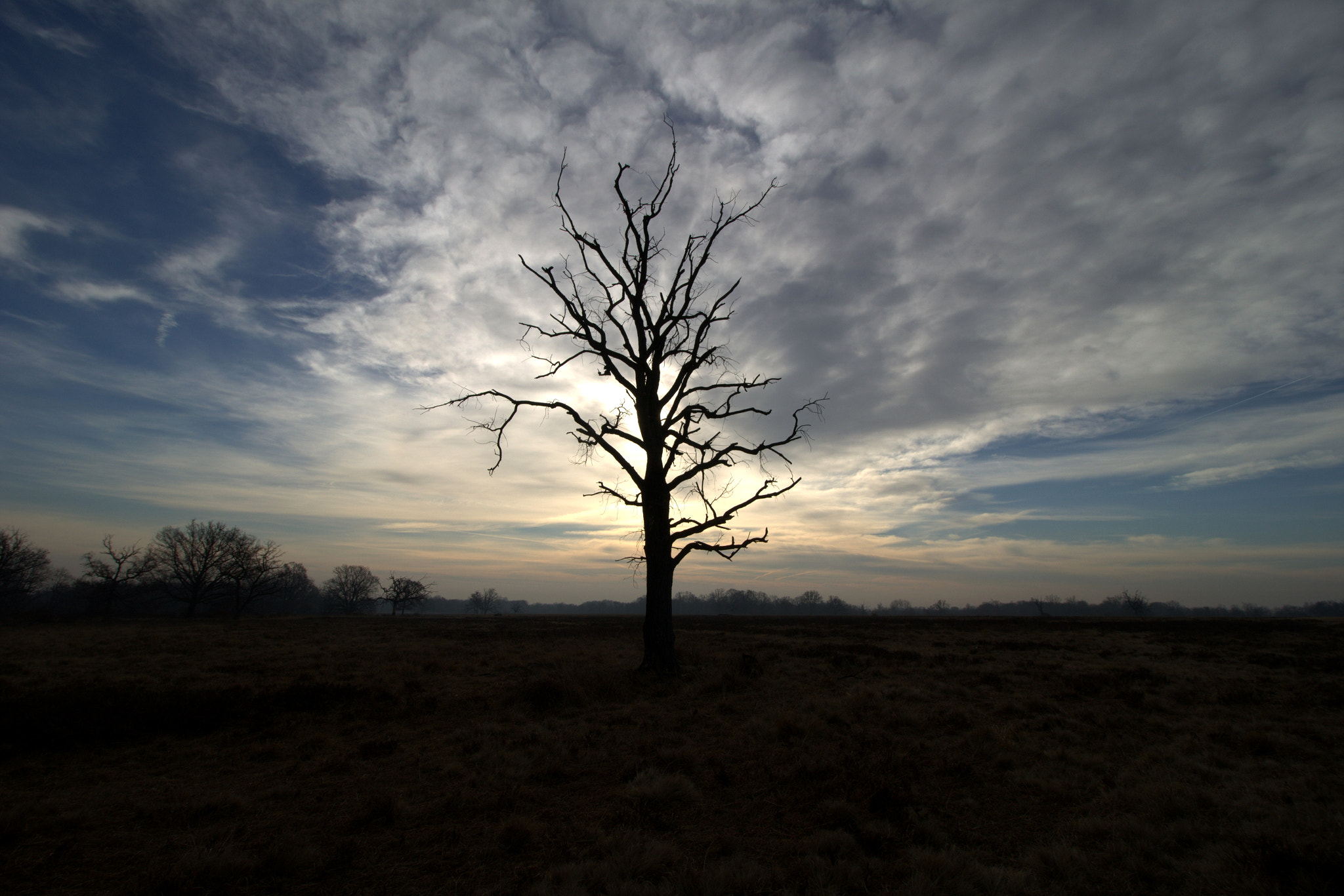 Canon EF-S 10-18mm F4.5–5.6 IS STM sample photo