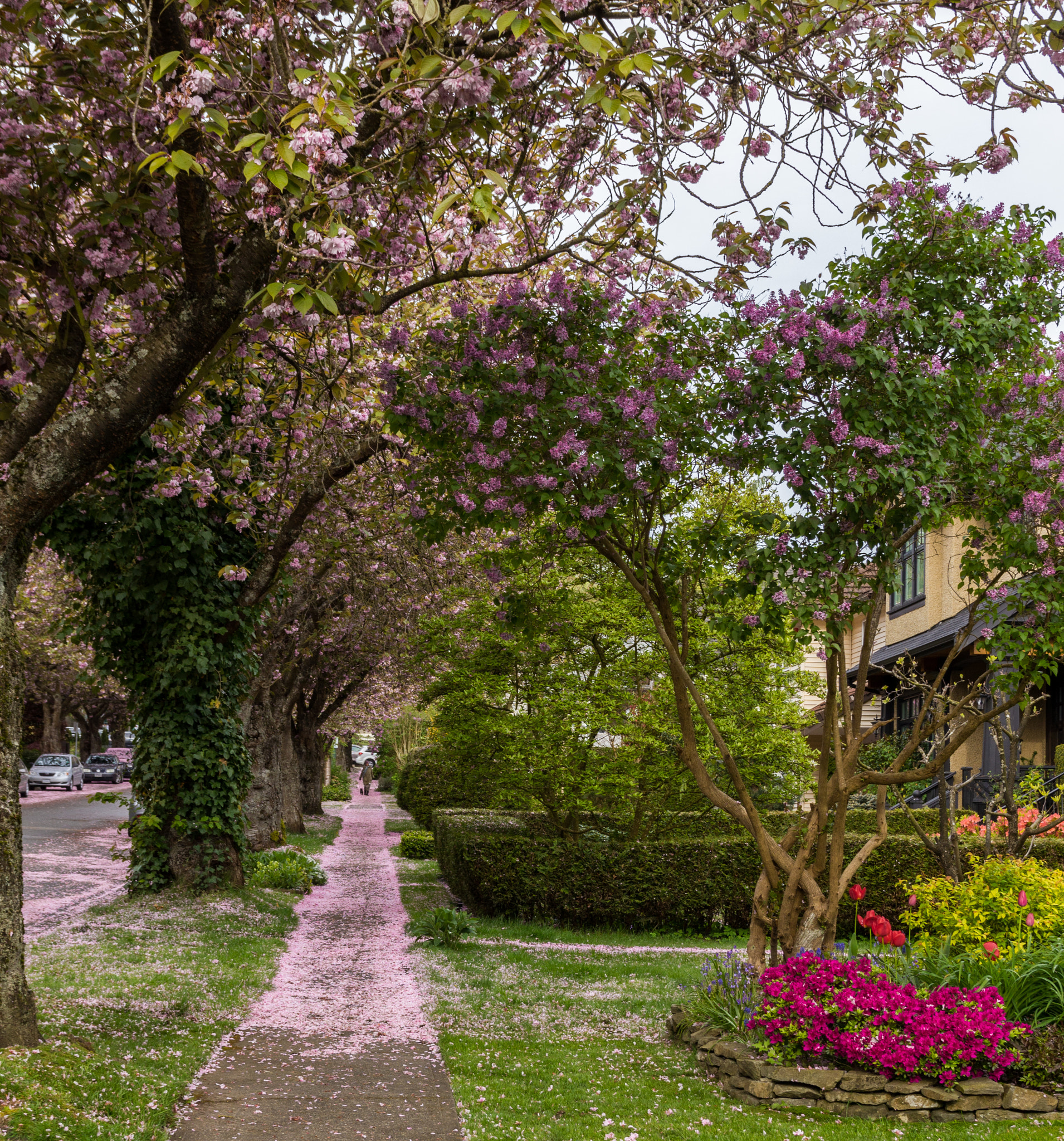 Sigma 18-50mm f/2.8 Macro sample photo. Way photography