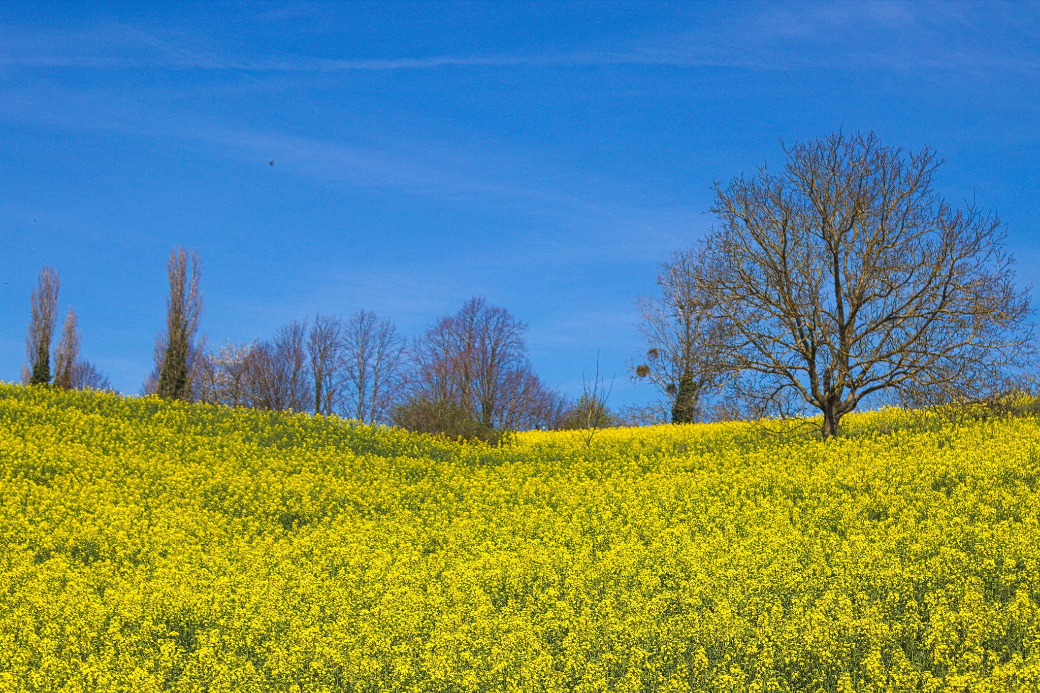 Canon EF 24-85mm F3.5-4.5 USM sample photo. South grésivaudan - france photography