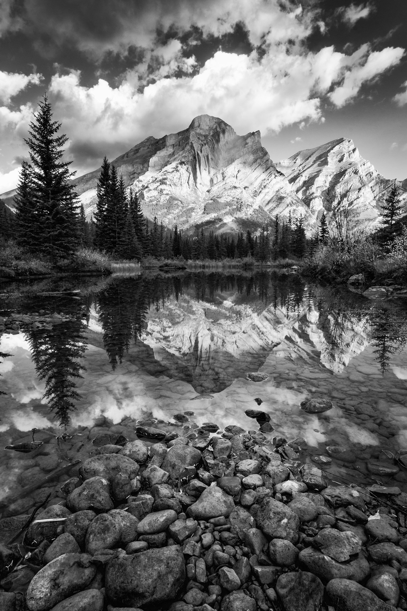 Sigma 10-20mm F4-5.6 EX DC HSM sample photo. Kidd reflection photography