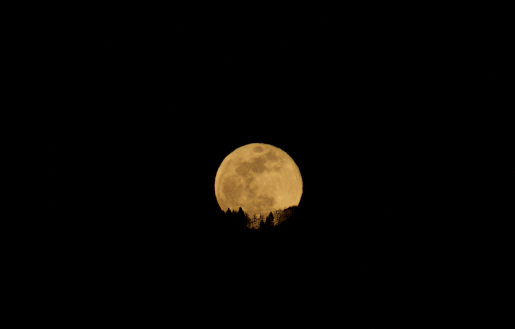 Sony SLT-A55 (SLT-A55V) sample photo. The moon in entirety photography