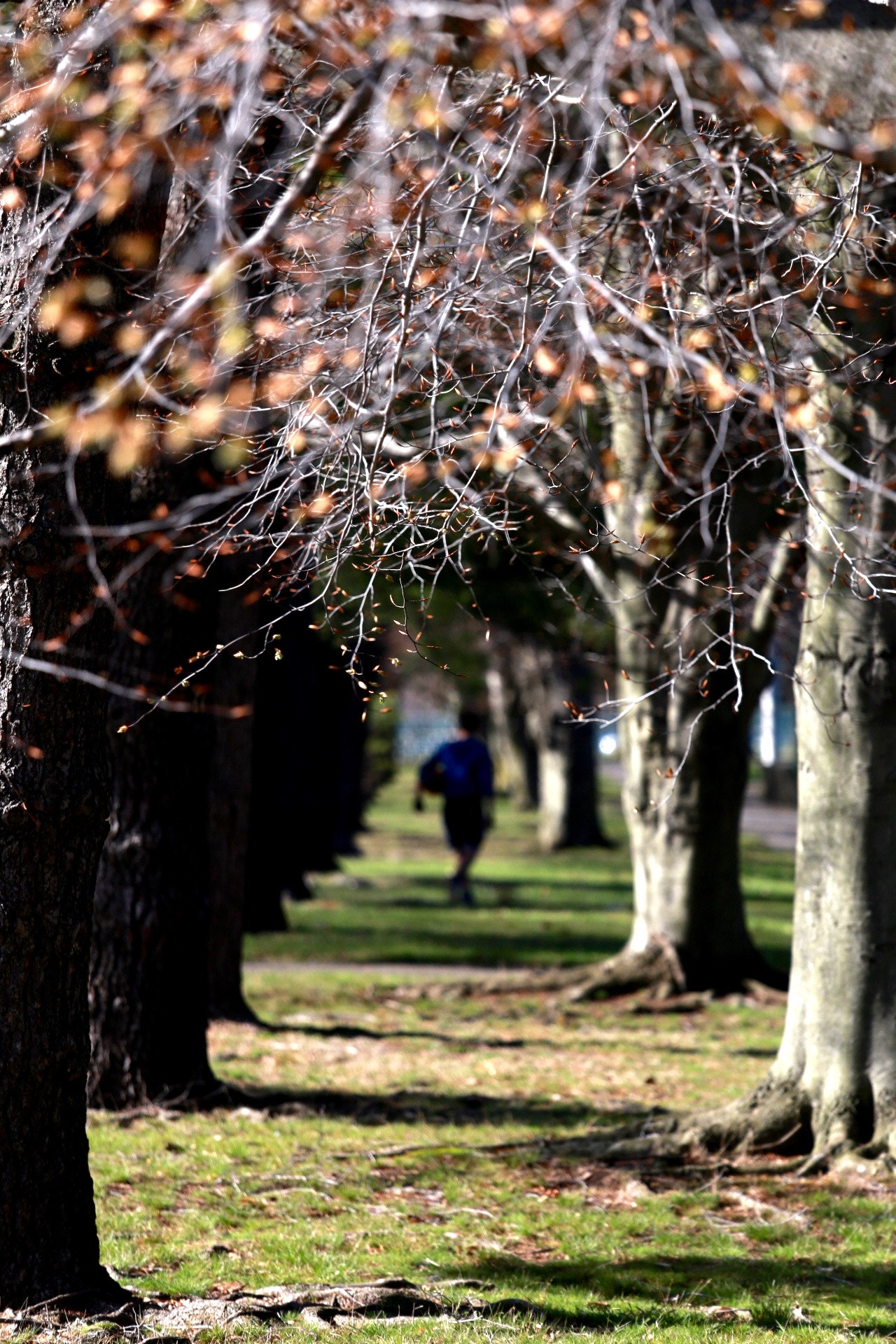 Canon EF 70-200mm F4L IS USM sample photo. Spring photography