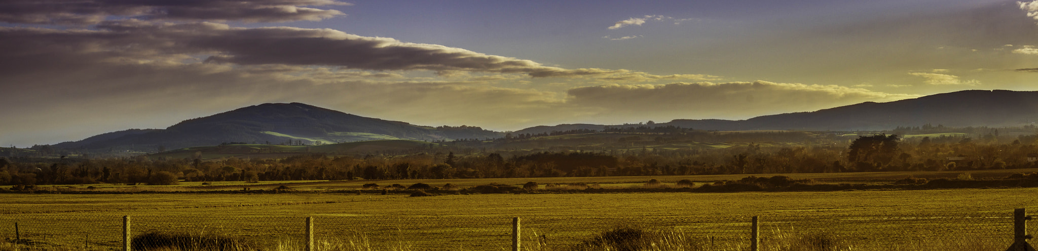 Sony SLT-A55 (SLT-A55V) + Sigma 70-300mm F4-5.6 DL Macro sample photo. Wicklow hills photography