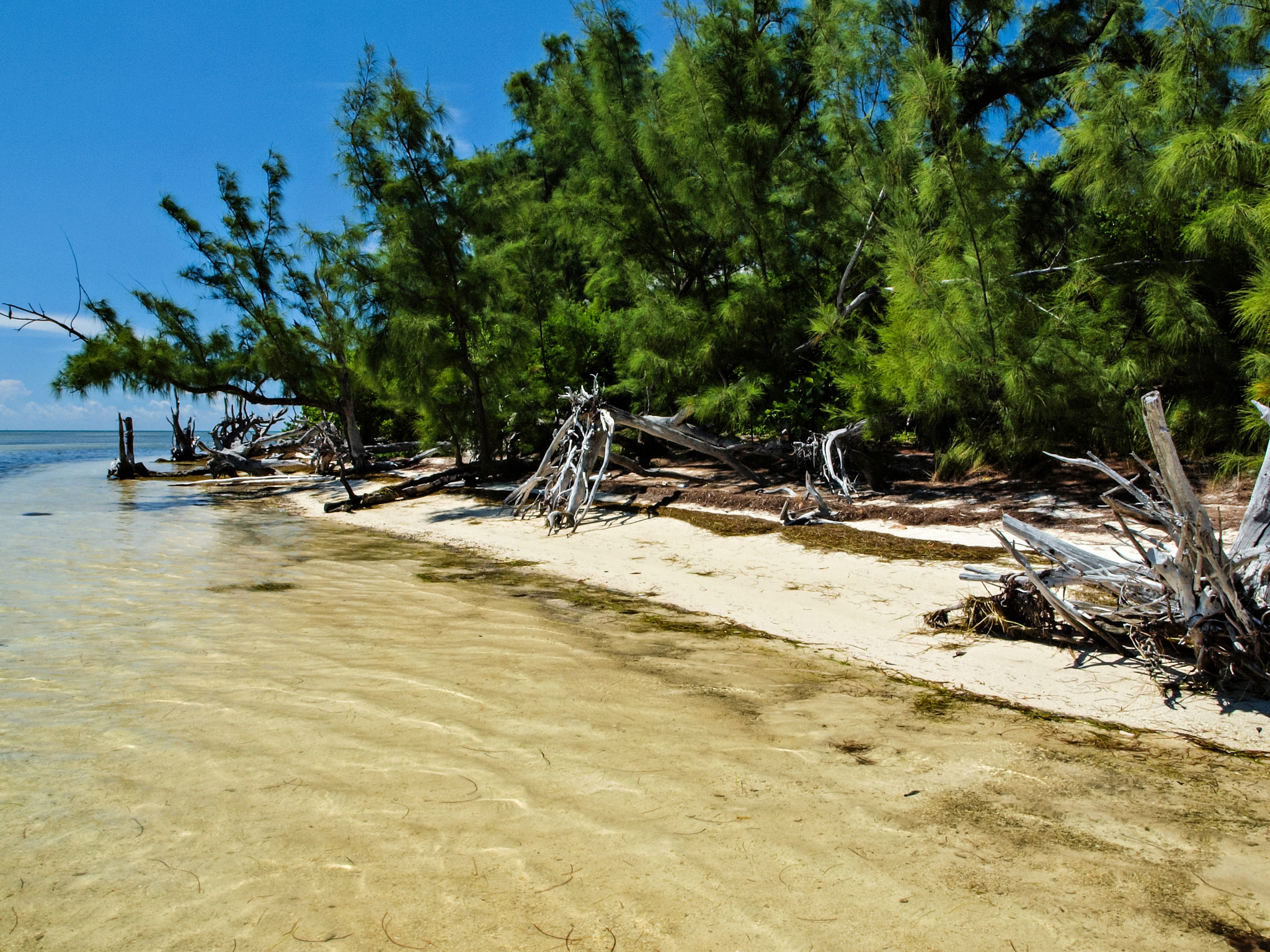 Olympus E-600 (EVOLT E-600) sample photo. Beach battleground: tom's harbor key photography