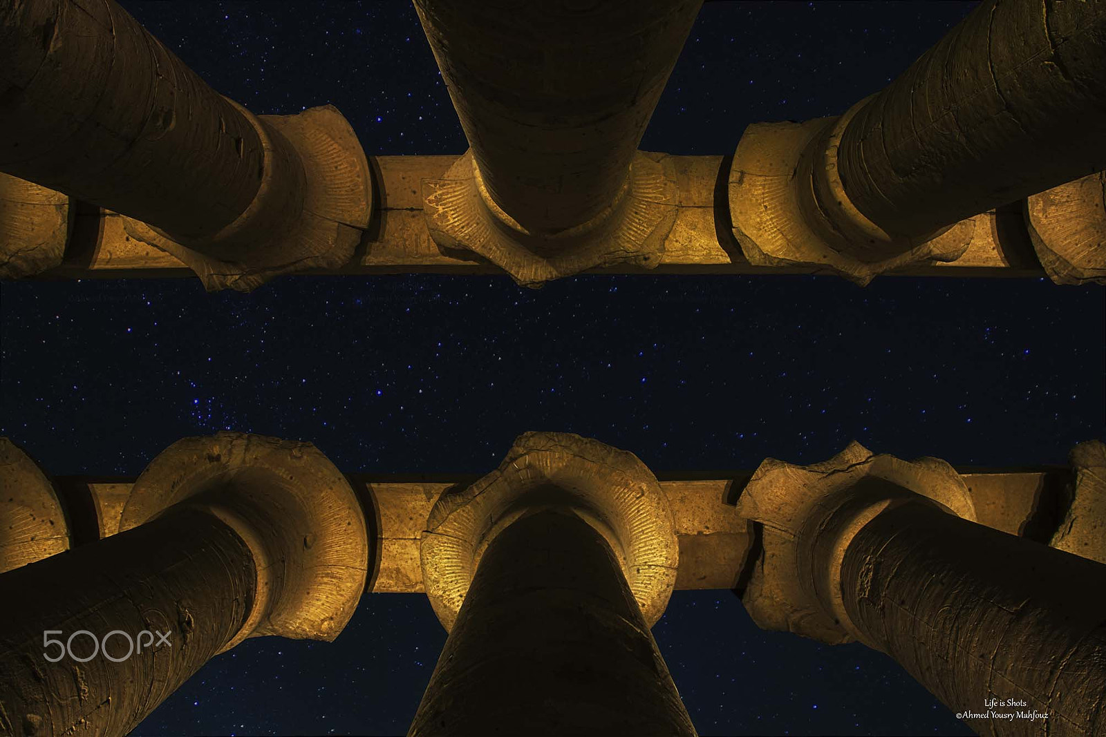 Nikon D3 sample photo. It is not in the stars to hold our destiny but in ourselves photography