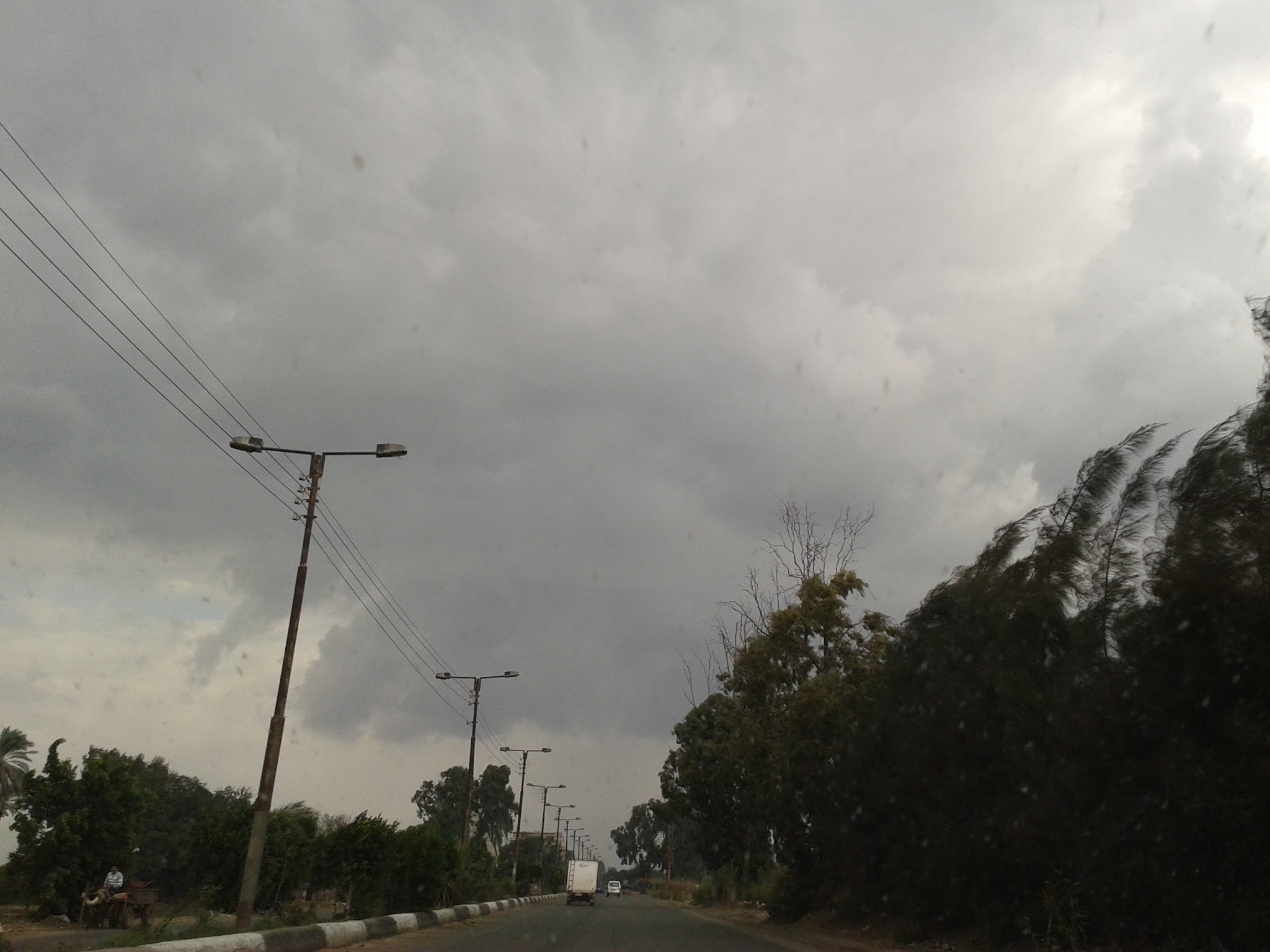 Samsung Galaxy S DUOS sample photo. #raining # mansurah #egypt  photography