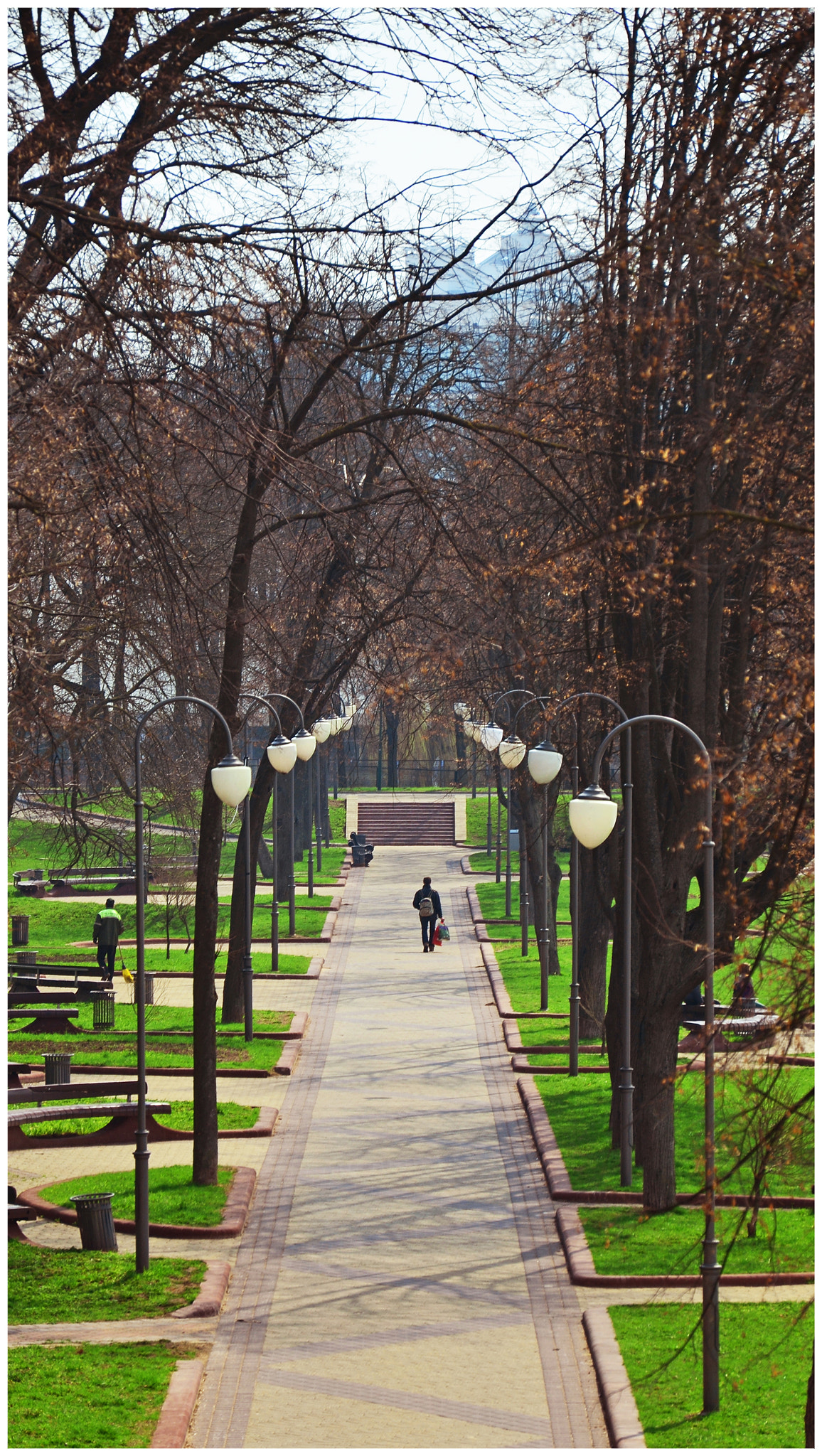 IX-Nikkor 30-60mm f/4-5.6 sample photo. The avenue in park photography