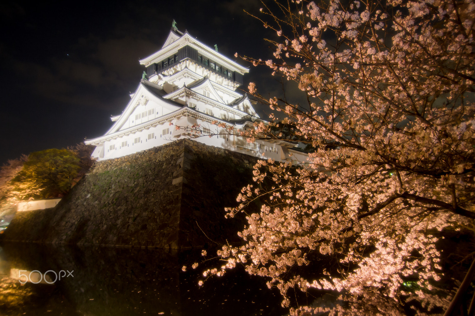 Nikon Df sample photo. Kokura castle photography