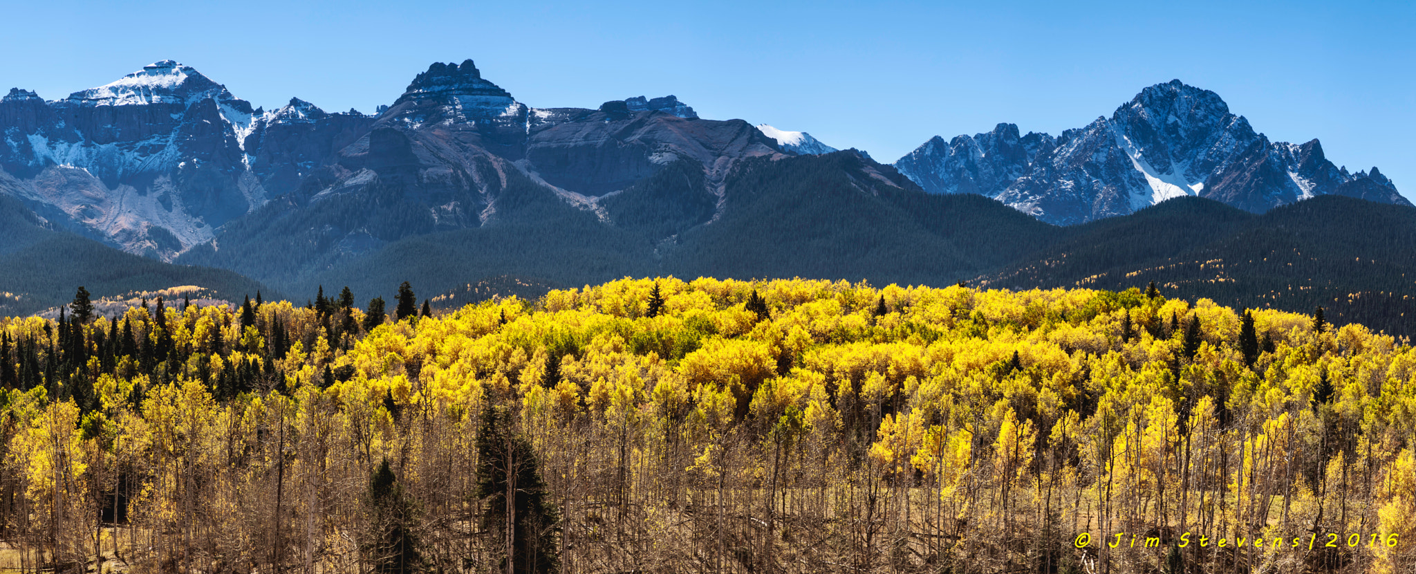 Canon EOS-1D X + Canon EF 28-135mm F3.5-5.6 IS USM sample photo. Colorado aspens panorama ad7w7260 photography
