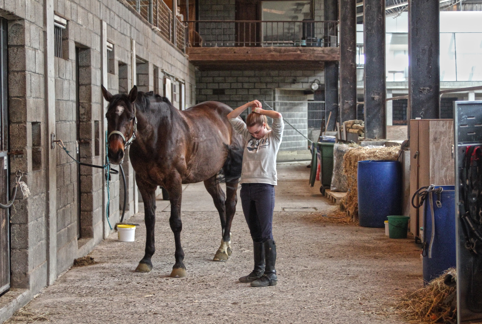 Canon EF 35-80mm f/4-5.6 USM sample photo. Horse riding photography