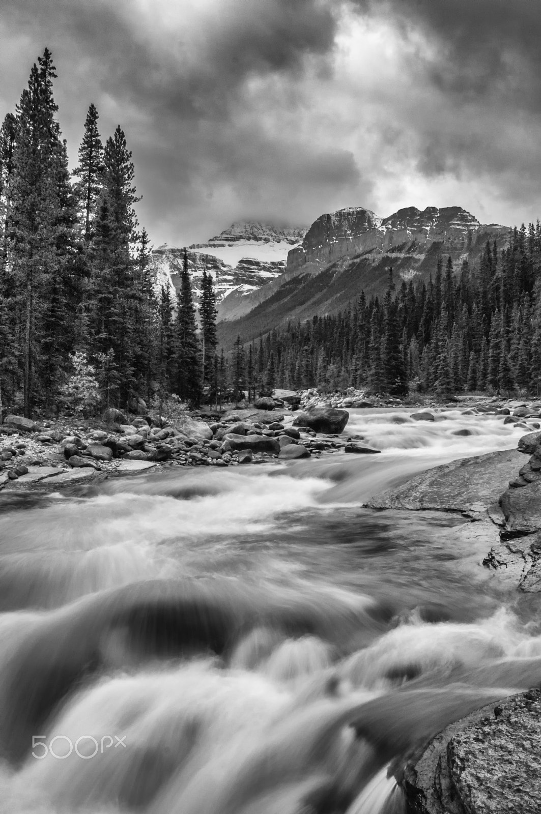 Sigma 18-250mm F3.5-6.3 DC OS HSM sample photo. Mistaya river b&w photography