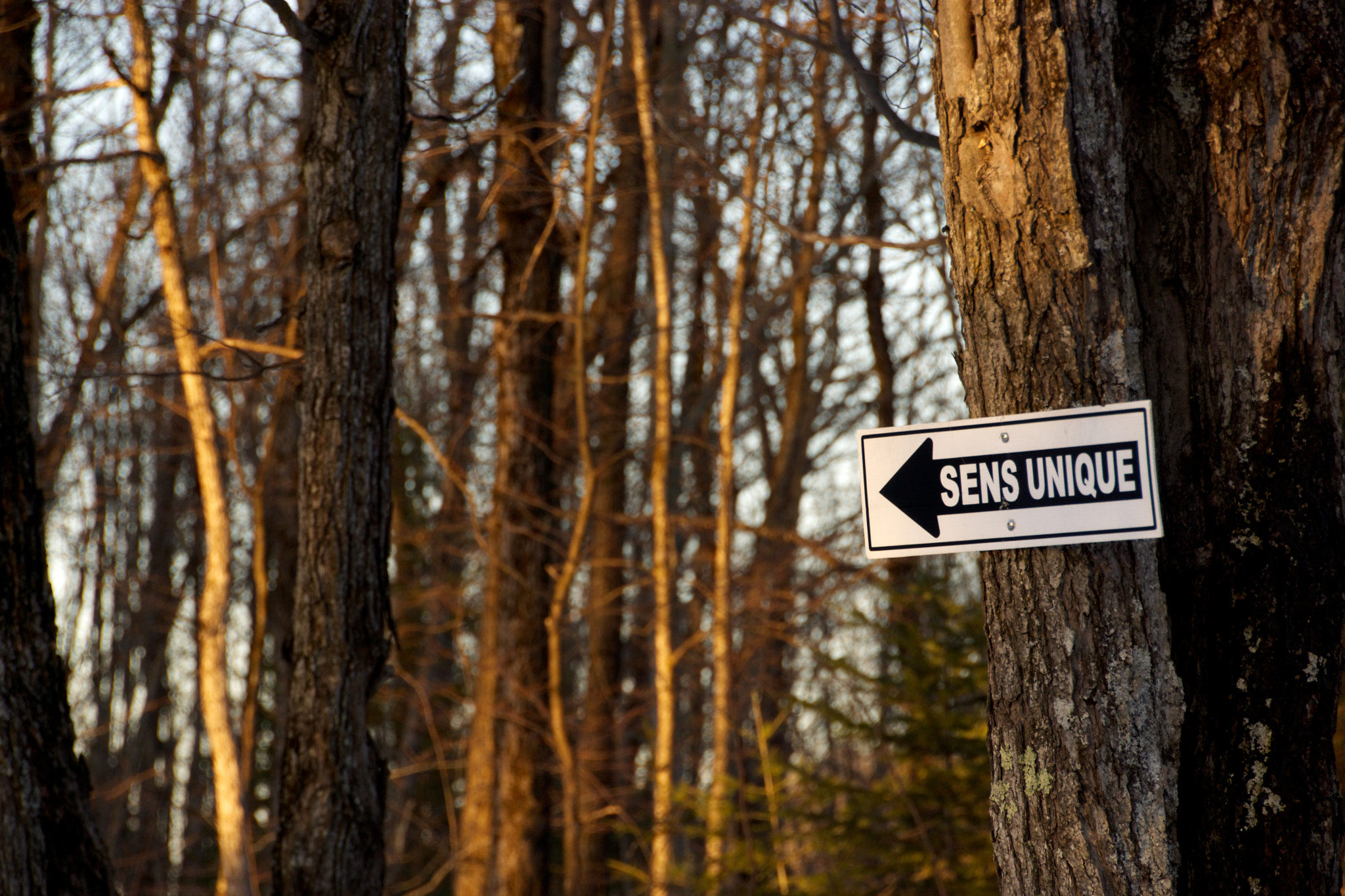 Tamron 18-270mm F3.5-6.3 Di II PZD sample photo. One way - sens unique photography