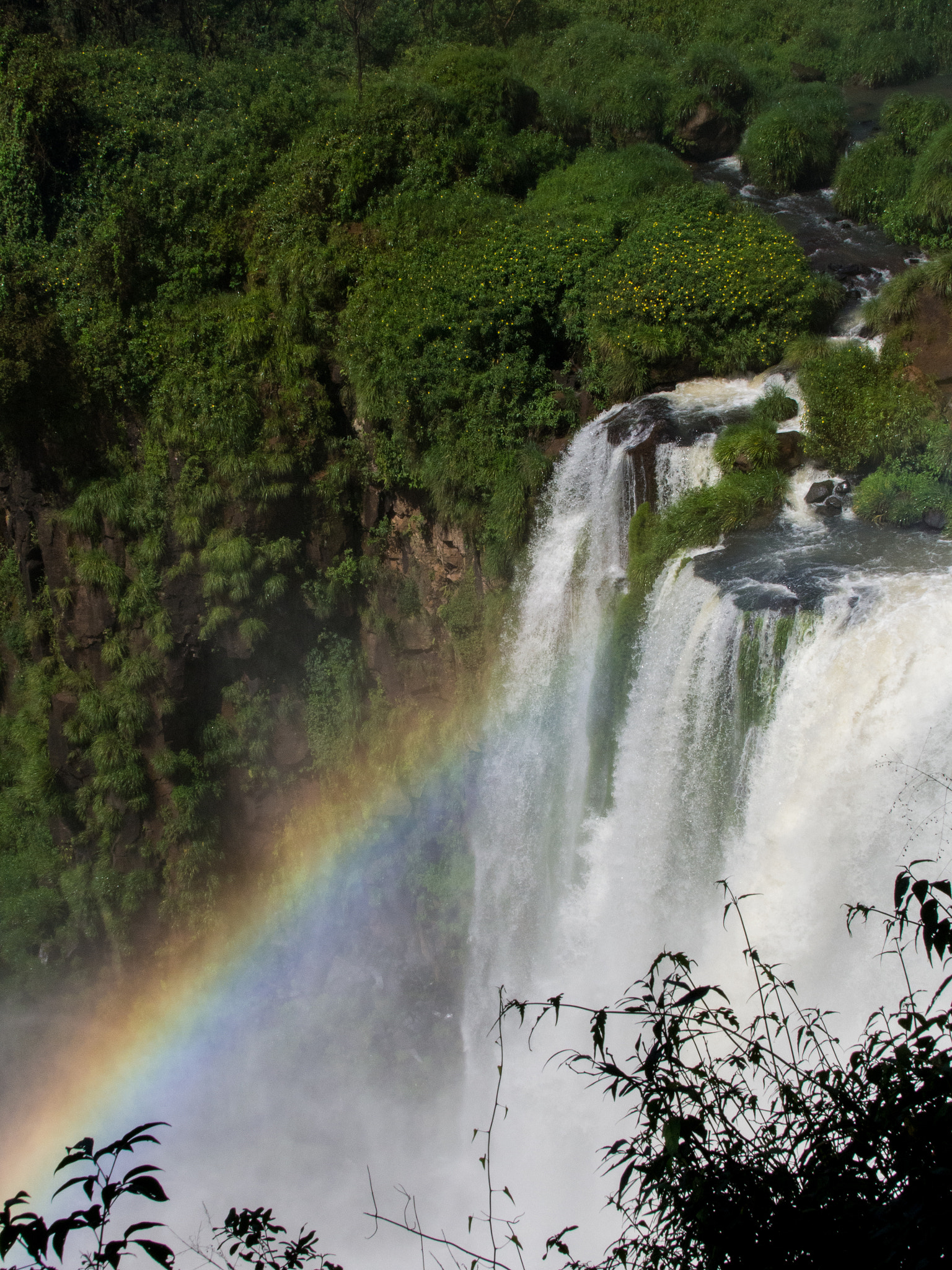Olympus OM-D E-M5 + Olympus M.Zuiko Digital ED 40-150mm F2.8 Pro sample photo. Rainbow over iguassu falls argentina photography