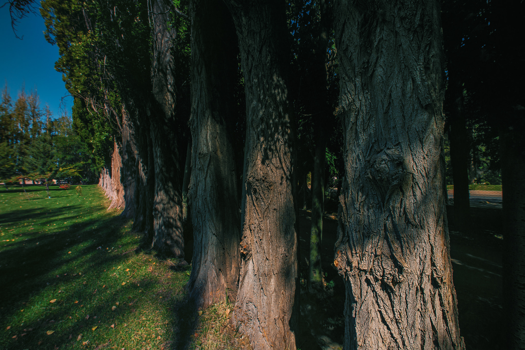 Sigma 14mm f/2.8 EX Aspherical HSM sample photo. Malargüe, mendoza photography