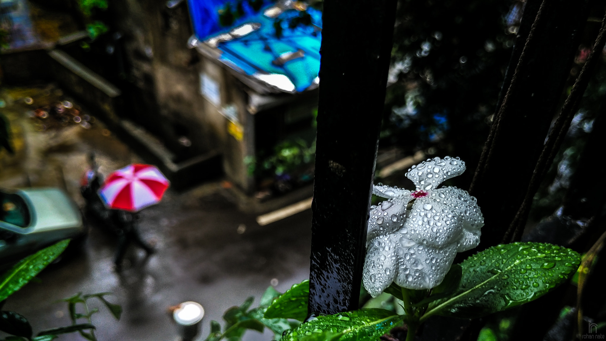 Xiaomi Mi 4i sample photo. Monsoon photography