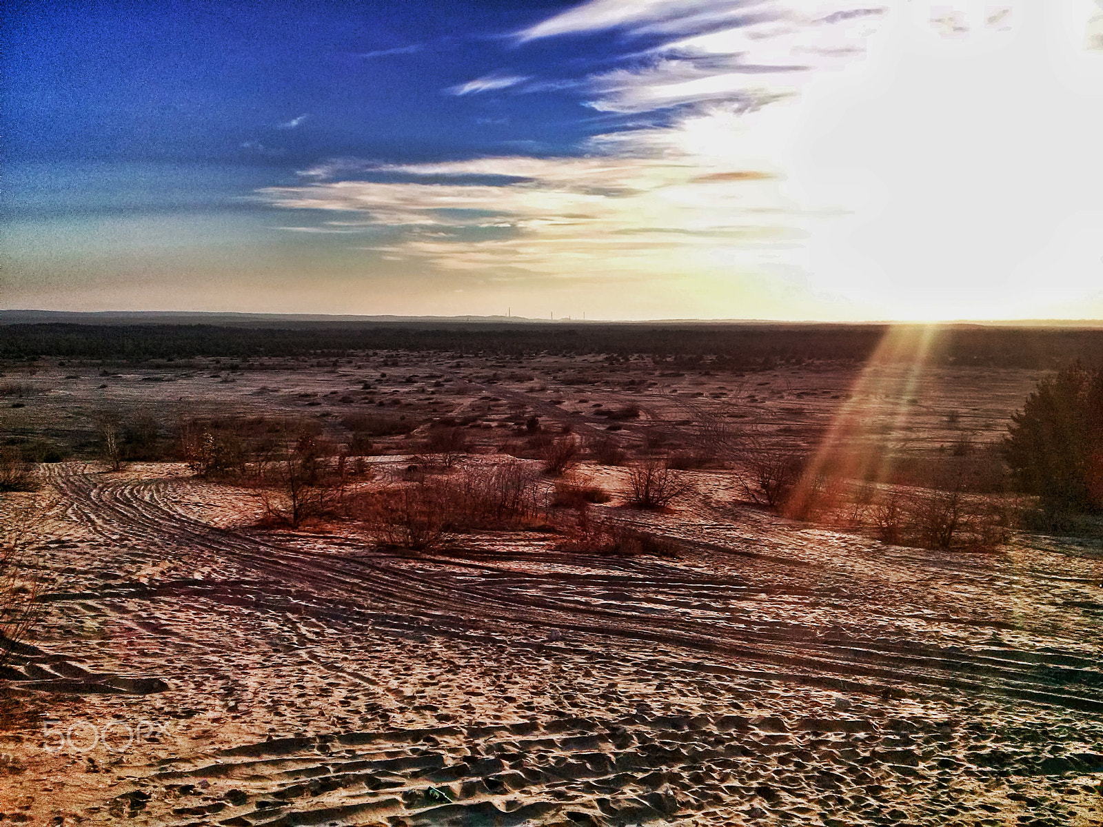 LG OPTIMUS L7 II sample photo. Desert in central europe? why not? photography